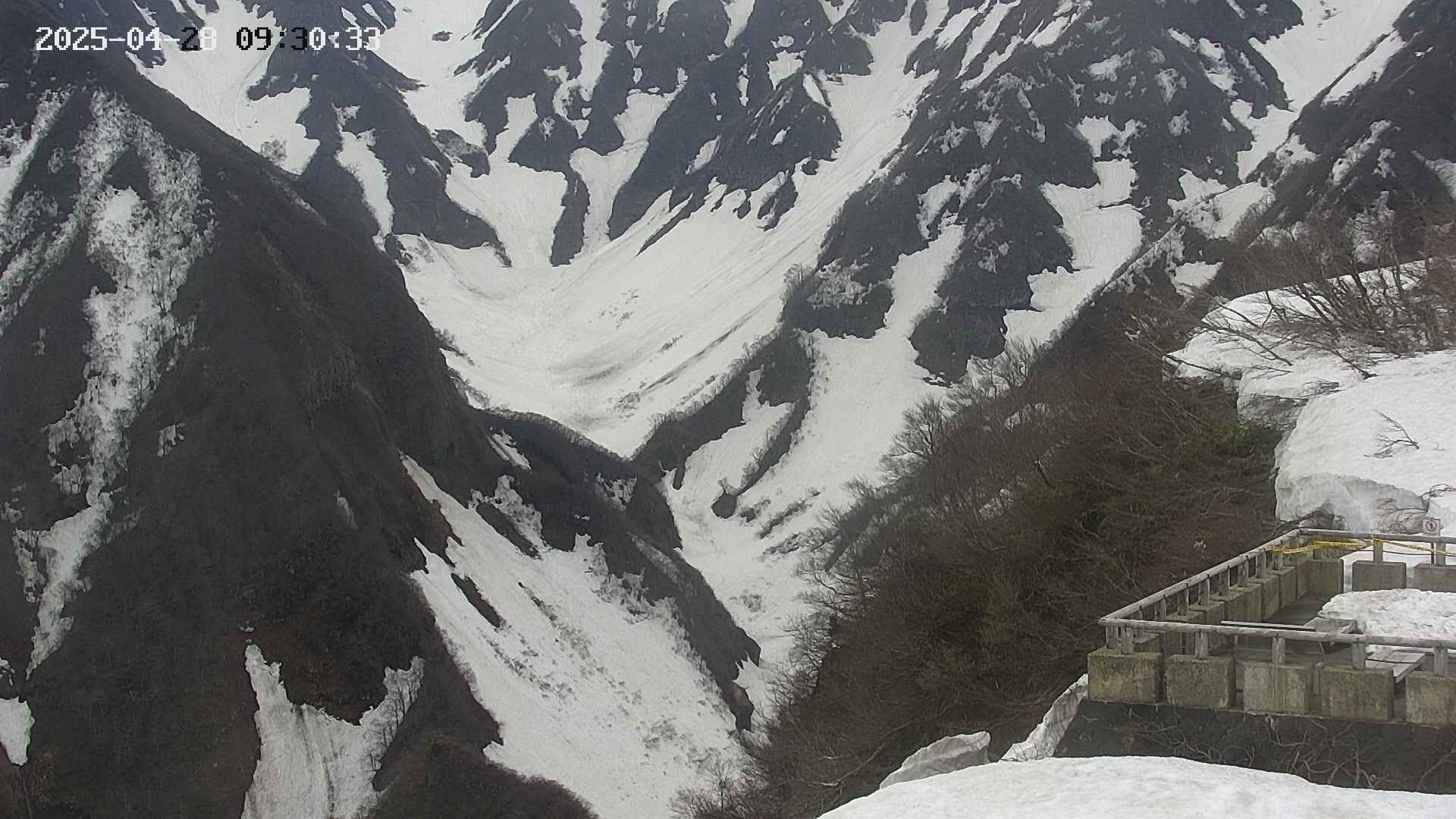 naso20250428093035.jpg