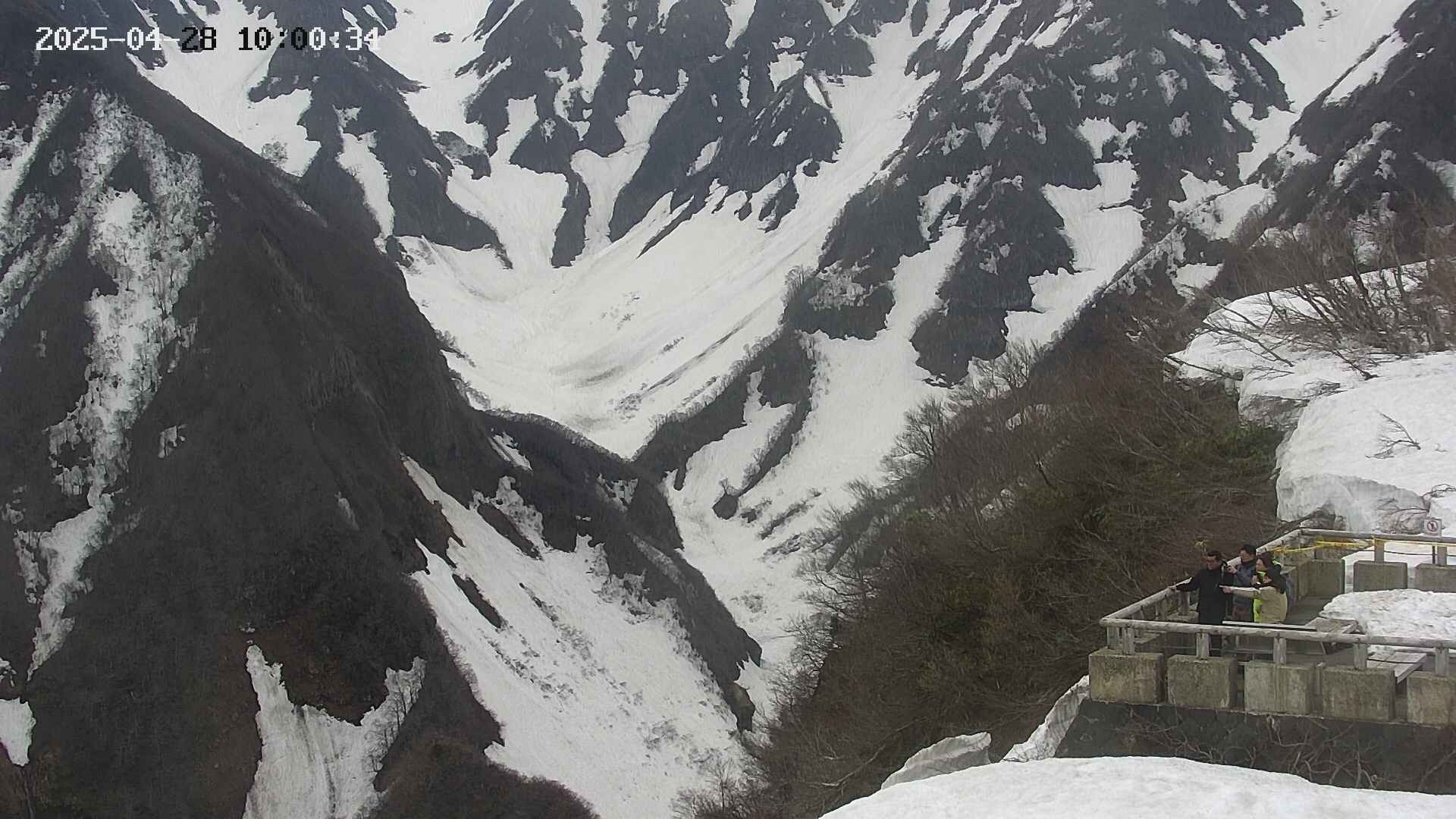 naso20250428100035.jpg
