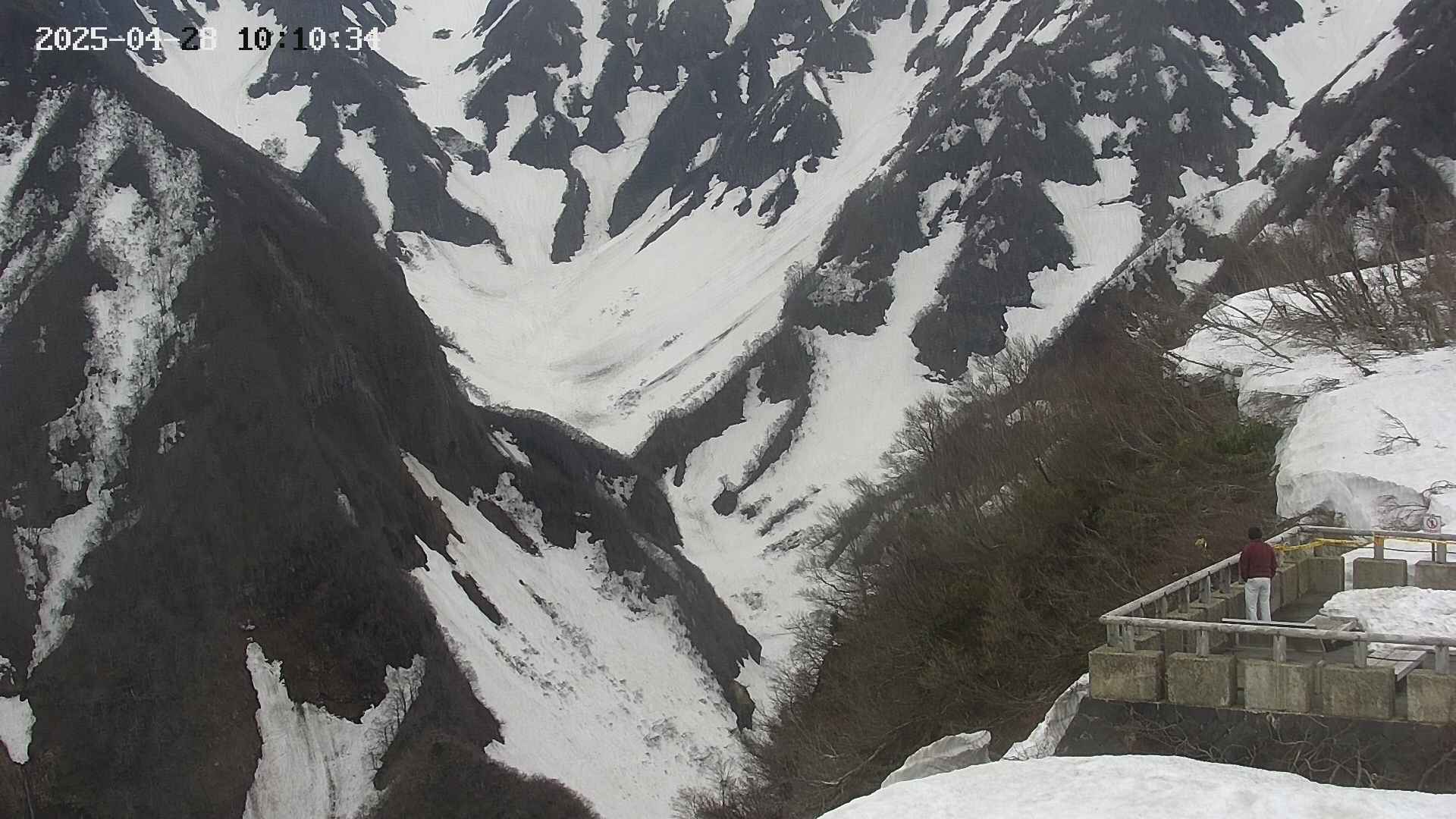 naso20250428101035.jpg