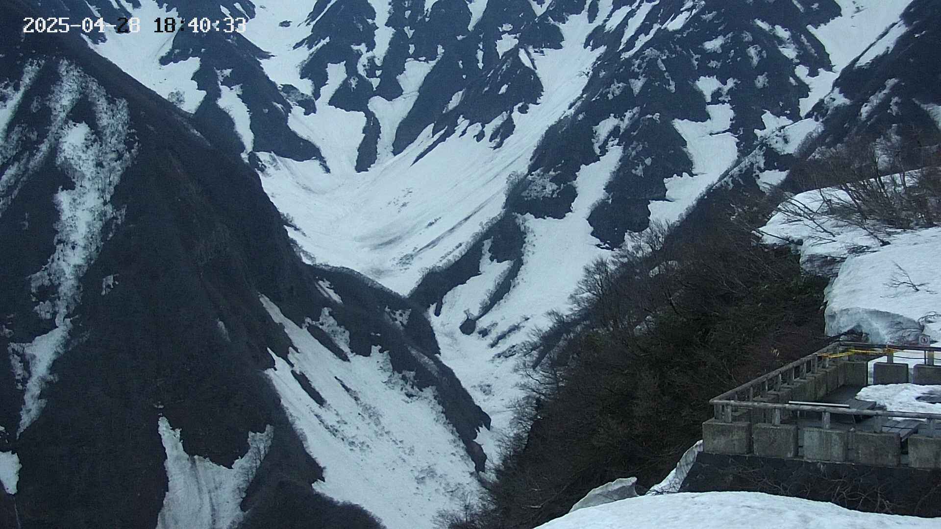 naso20250428184035.jpg