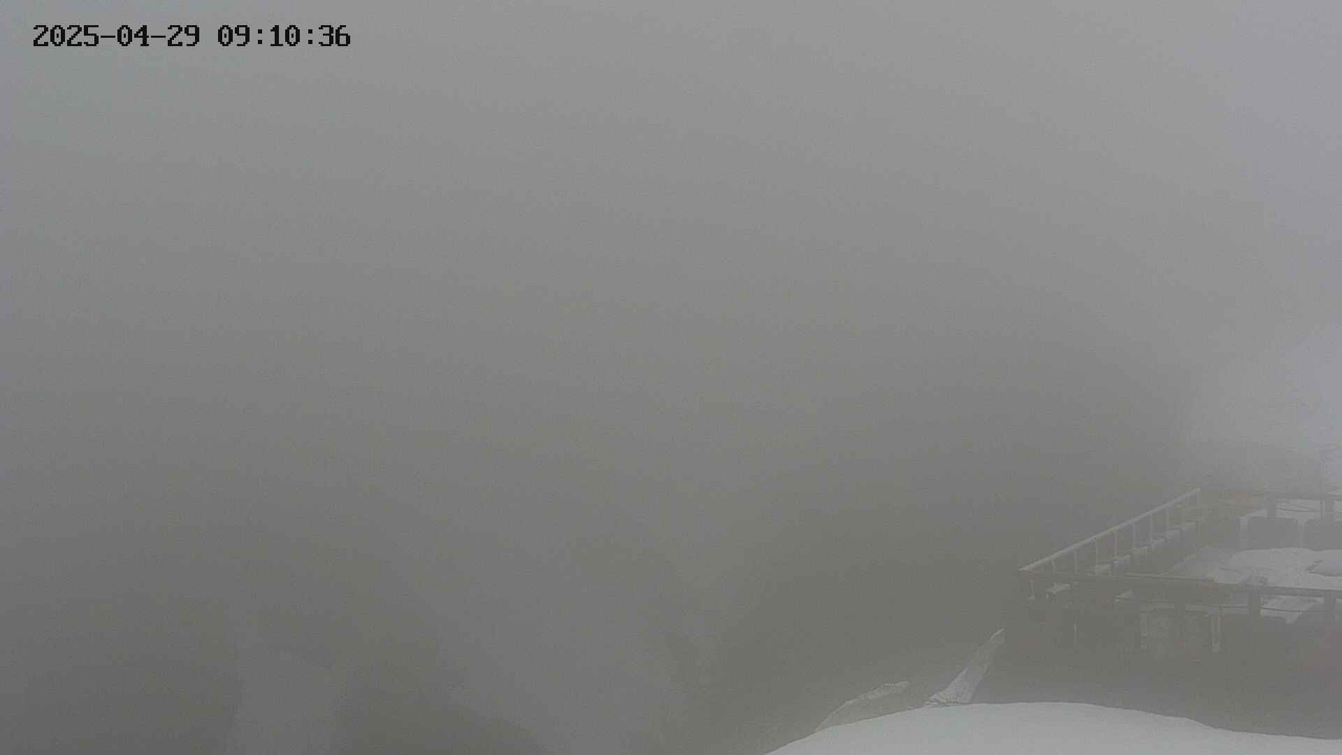 naso20250429091037.jpg