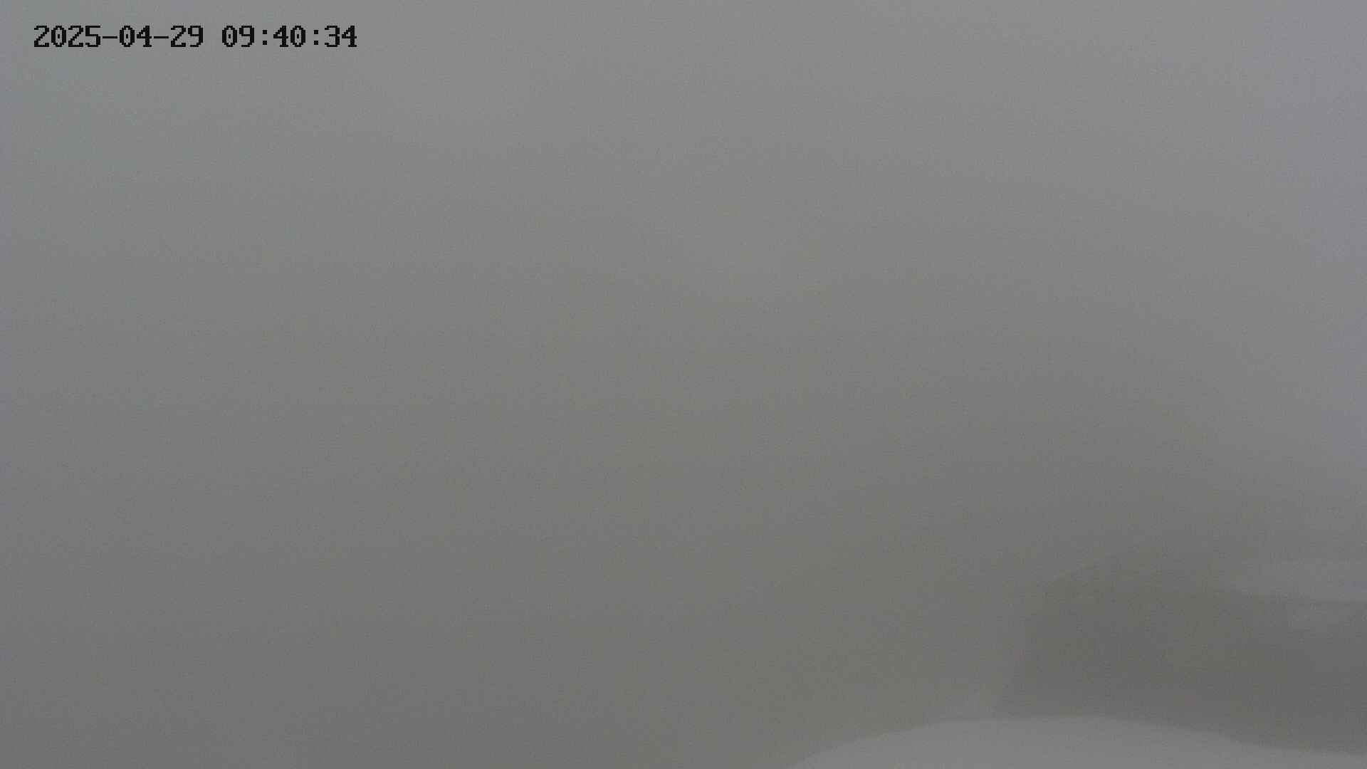 naso20250429094034.jpg