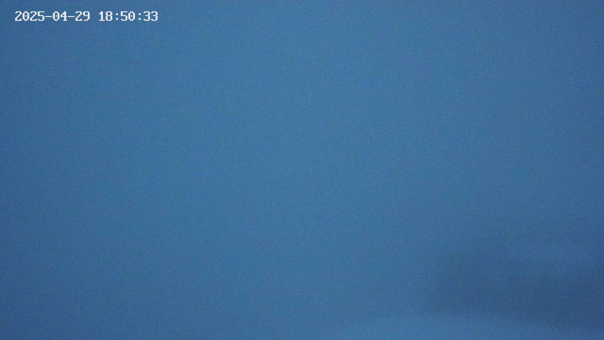 naso20250429185035.jpg