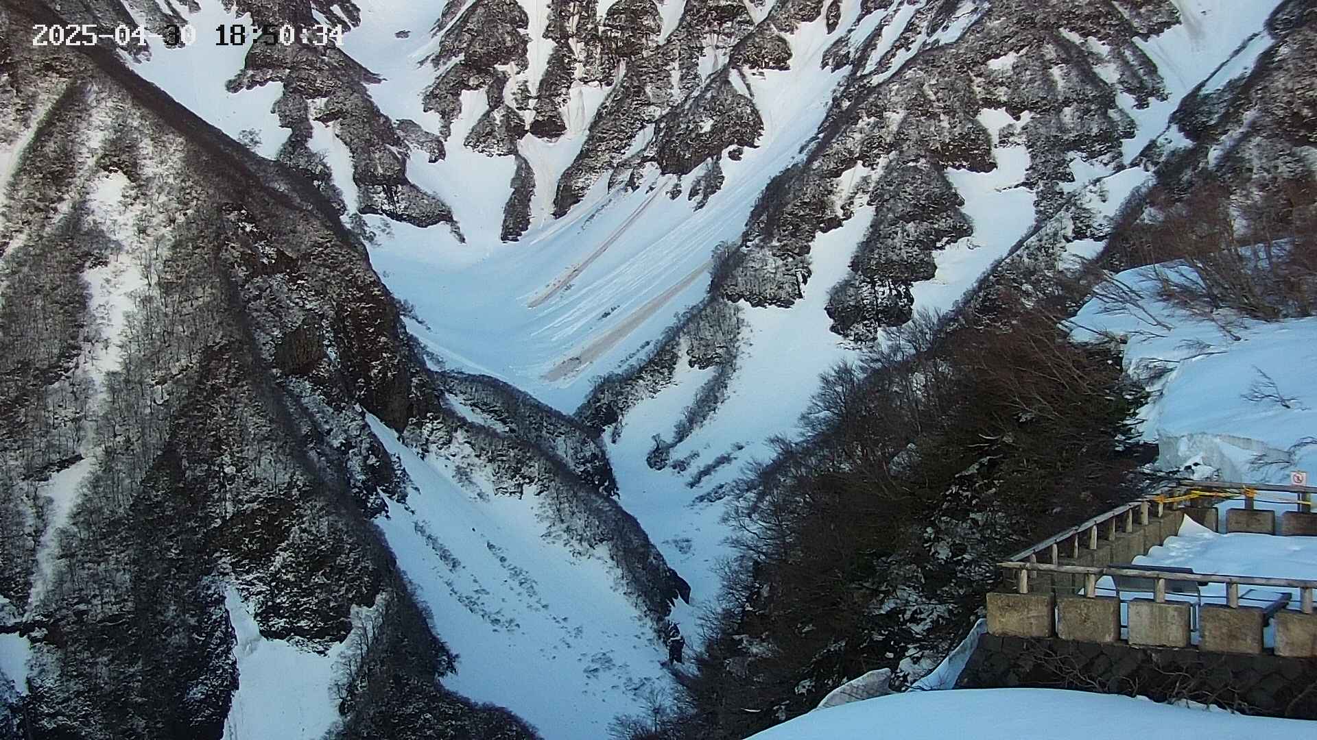 naso20250430185036.jpg