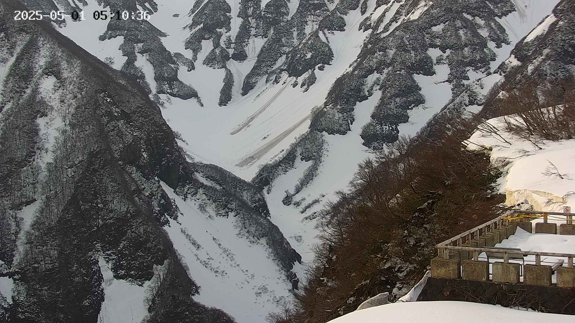 naso20250501051037.jpg