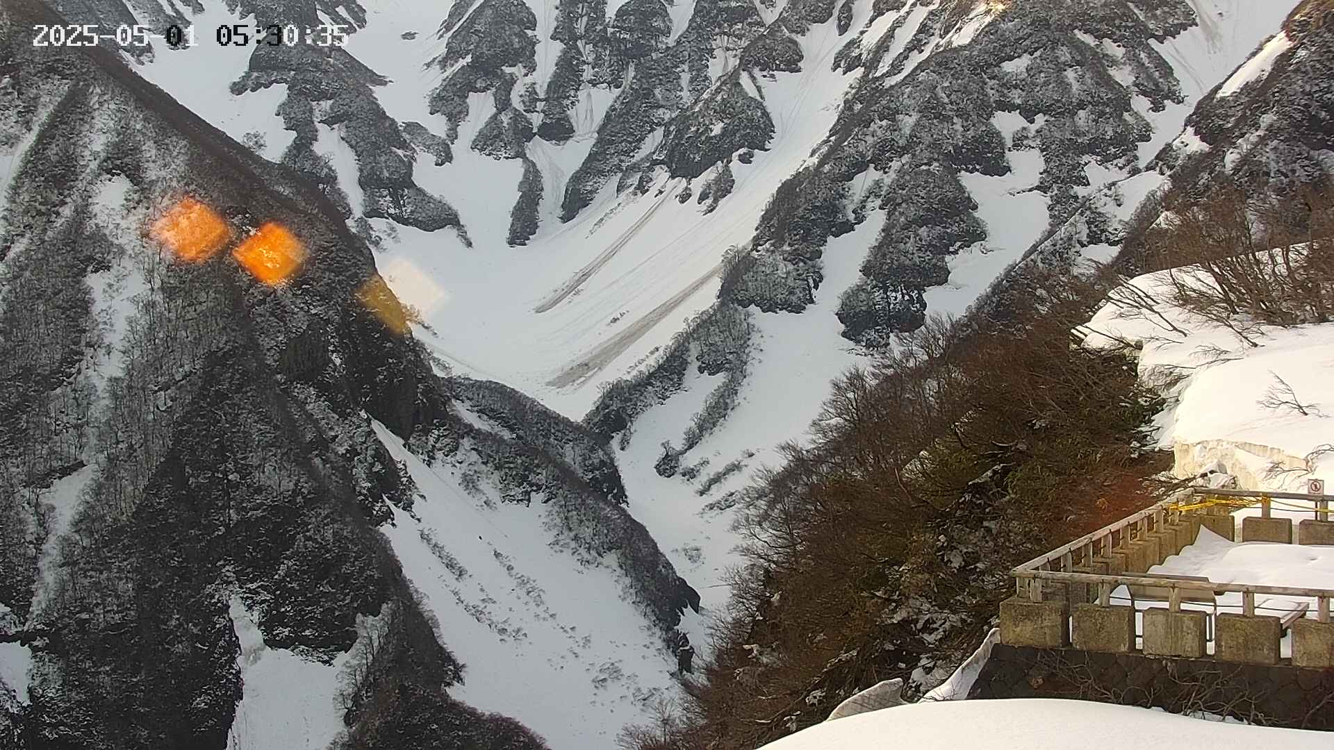 naso20250501053036.jpg