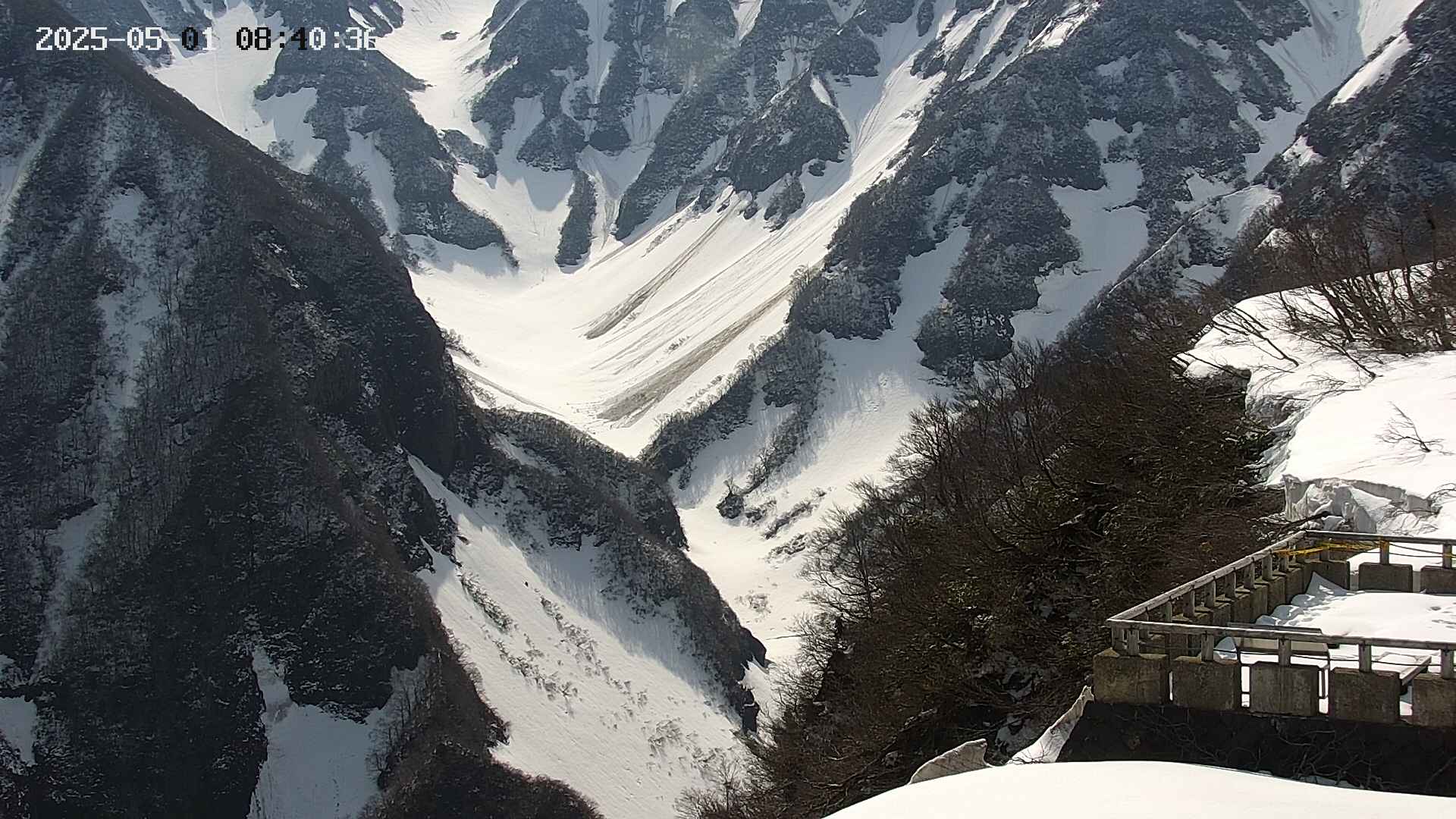 naso20250501084038.jpg