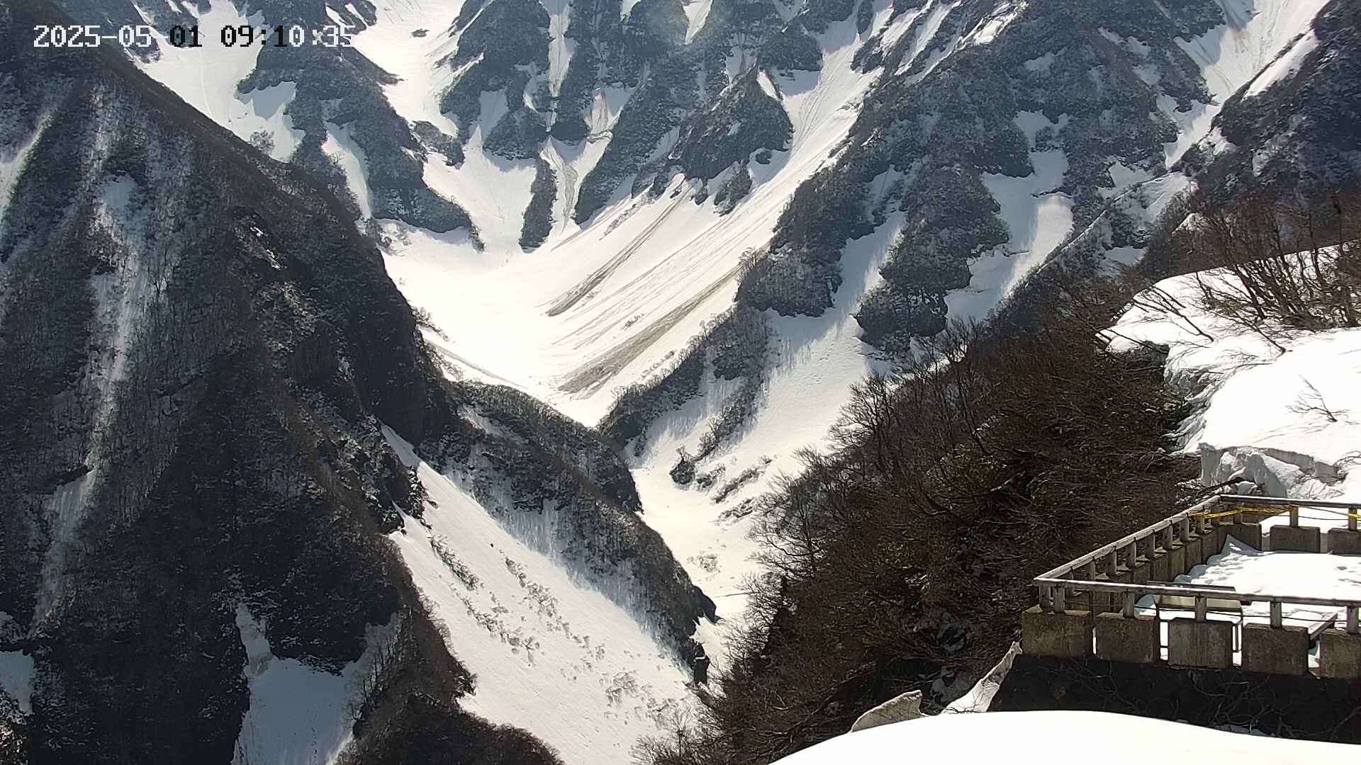 naso20250501091036.jpg