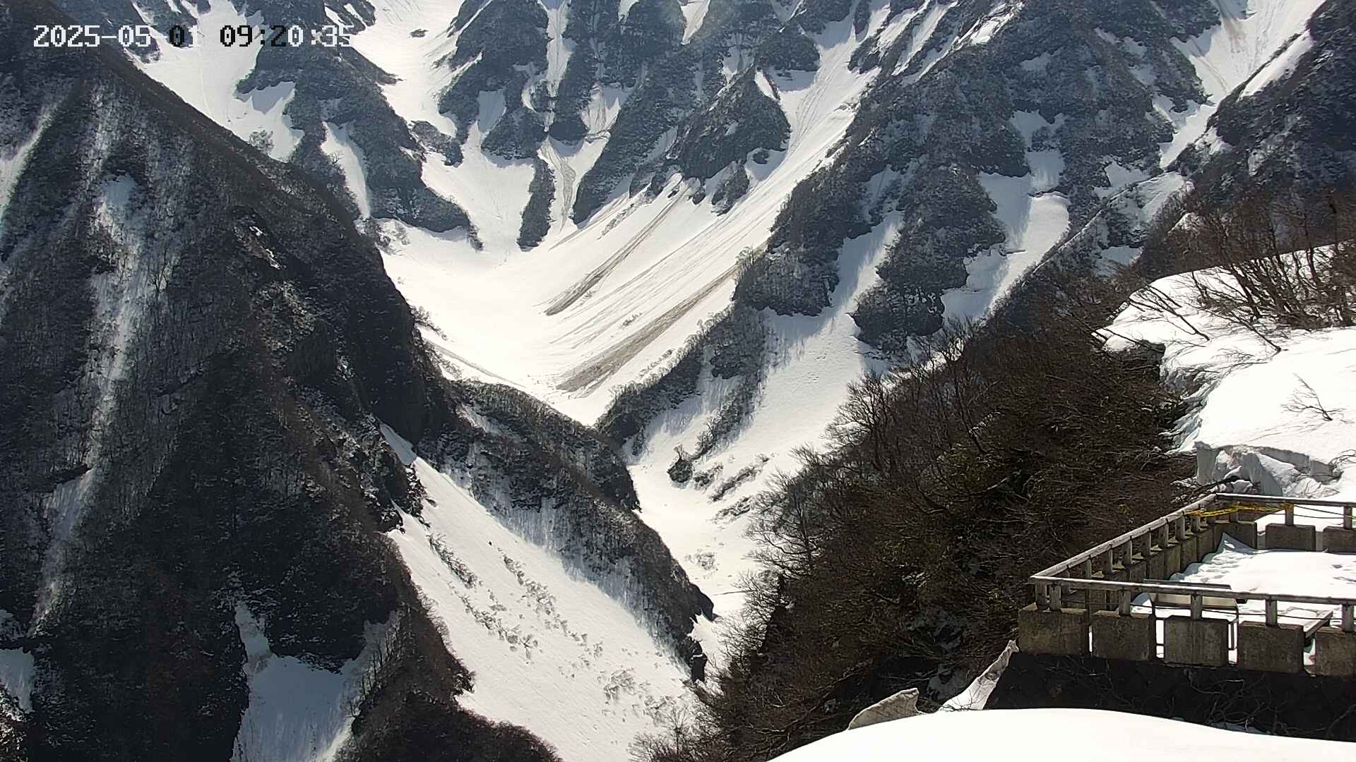 naso20250501092036.jpg
