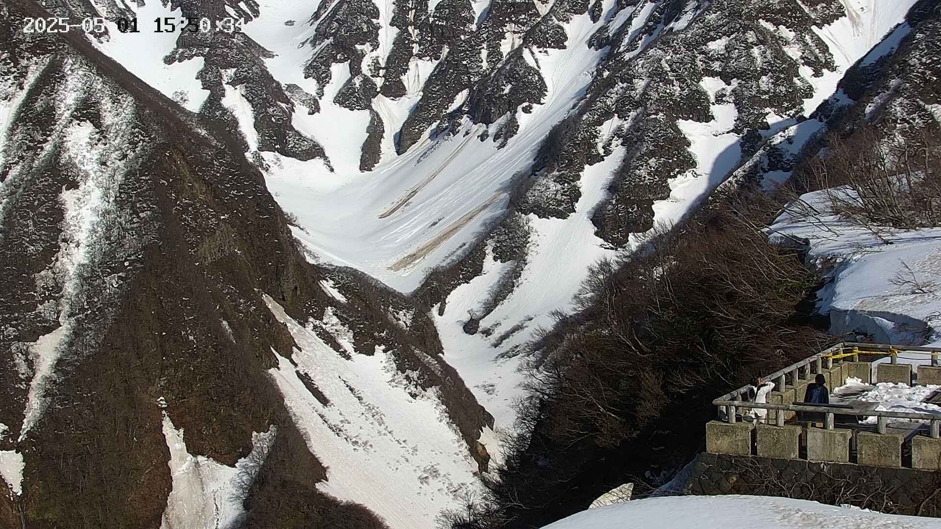 naso20250501155036.jpg