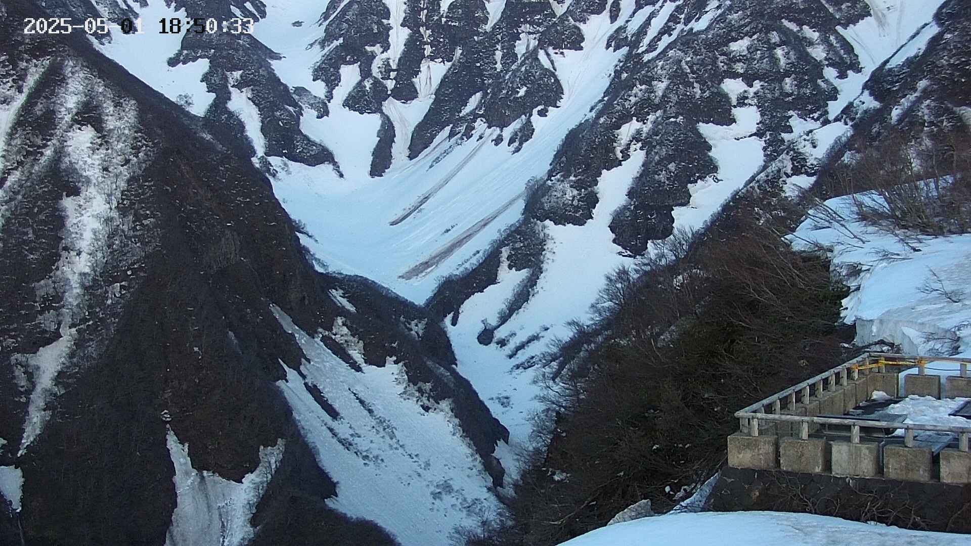 naso20250501185035.jpg