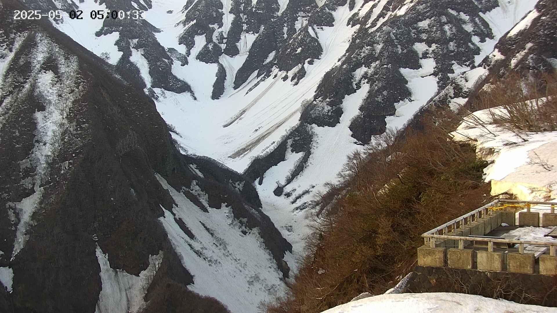 naso20250502050034.jpg