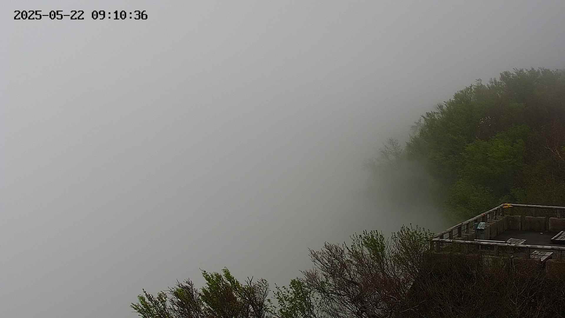 naso20250522091036.jpg