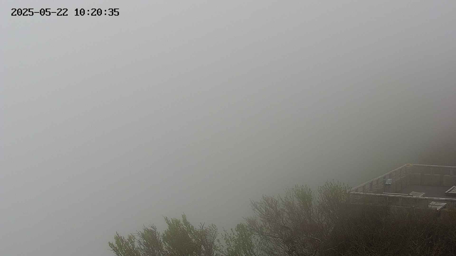 naso20250522102035.jpg