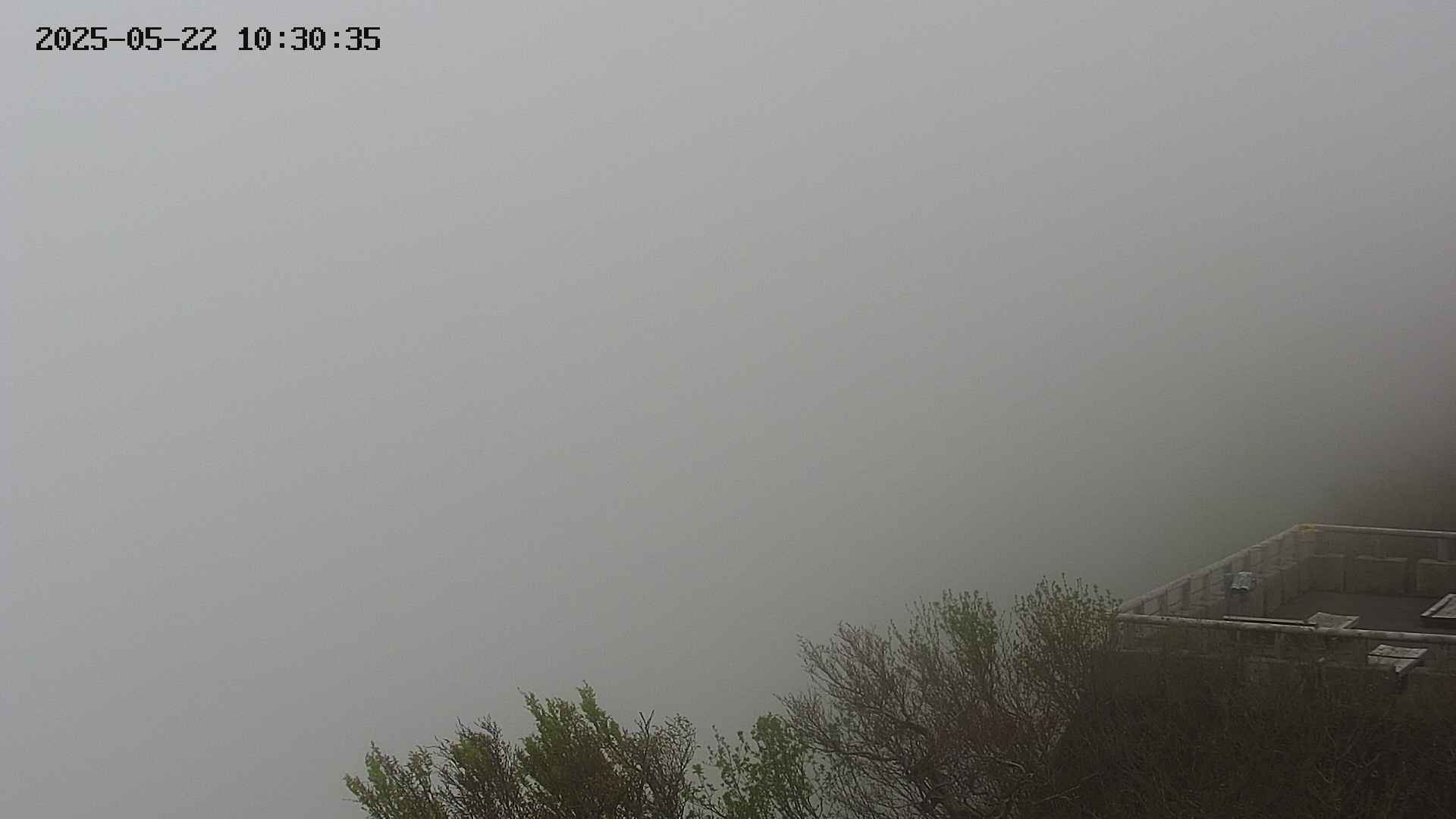 naso20250522103035.jpg
