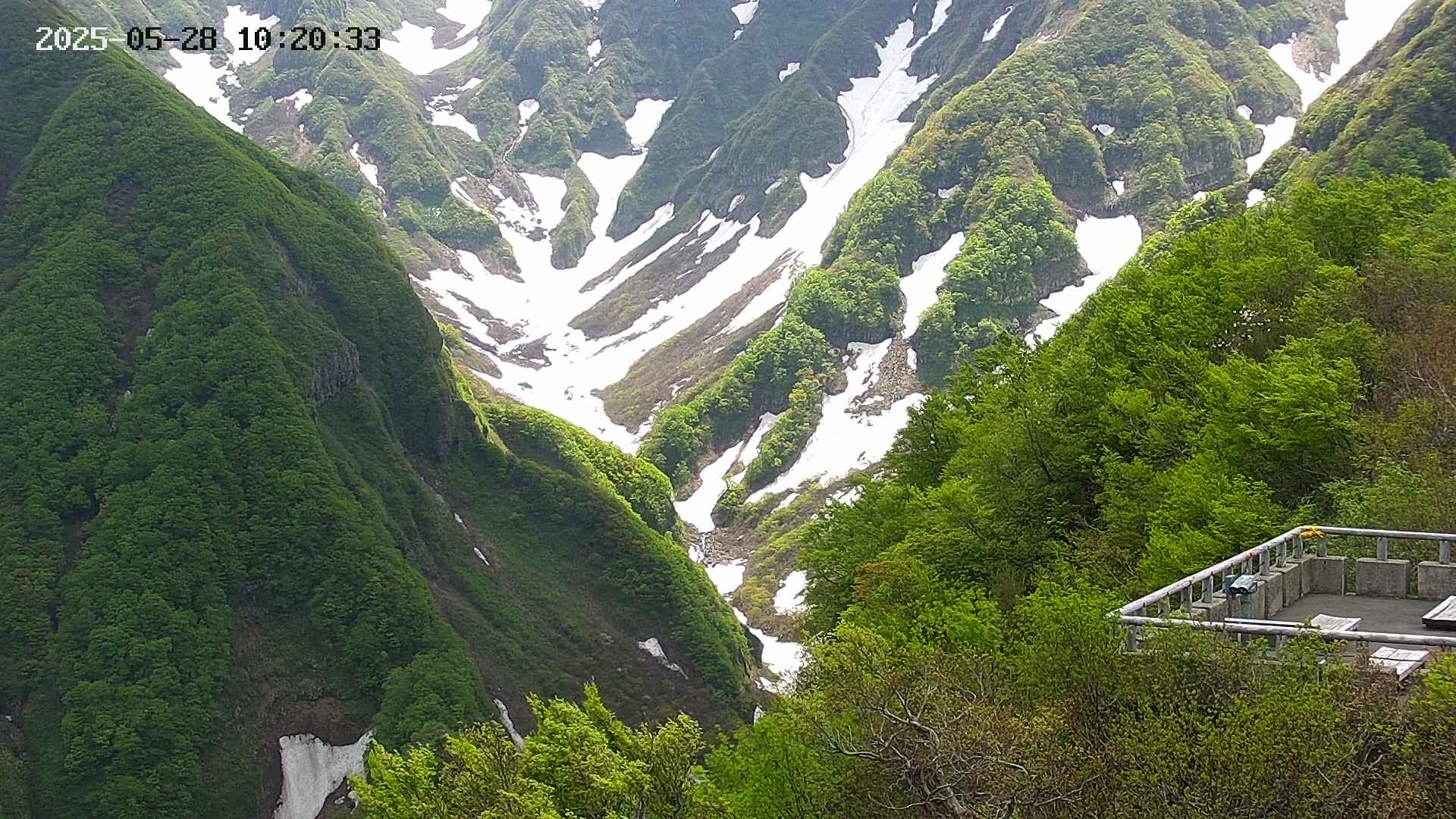 naso20250528102035.jpg