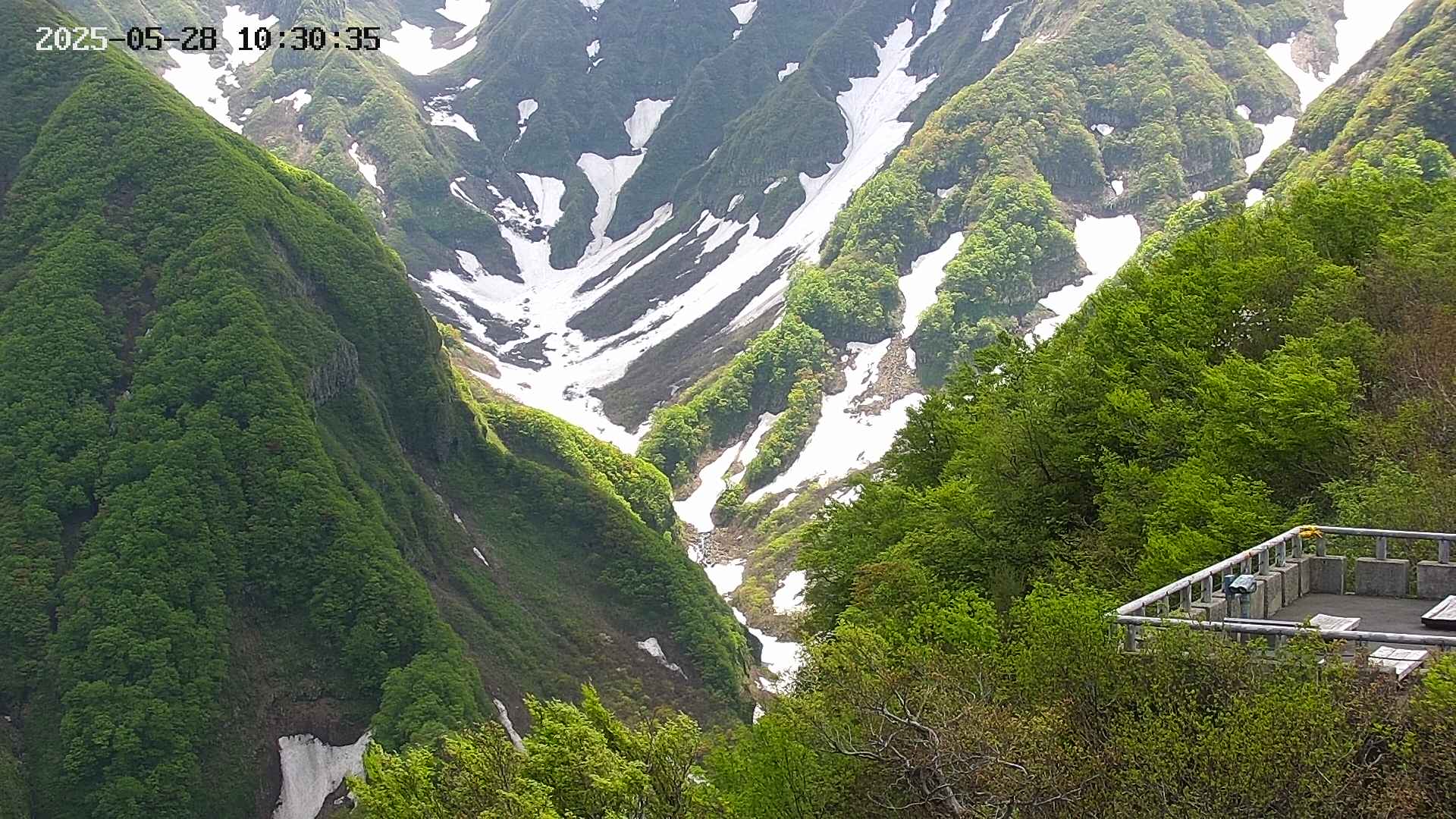 naso20250528103036.jpg