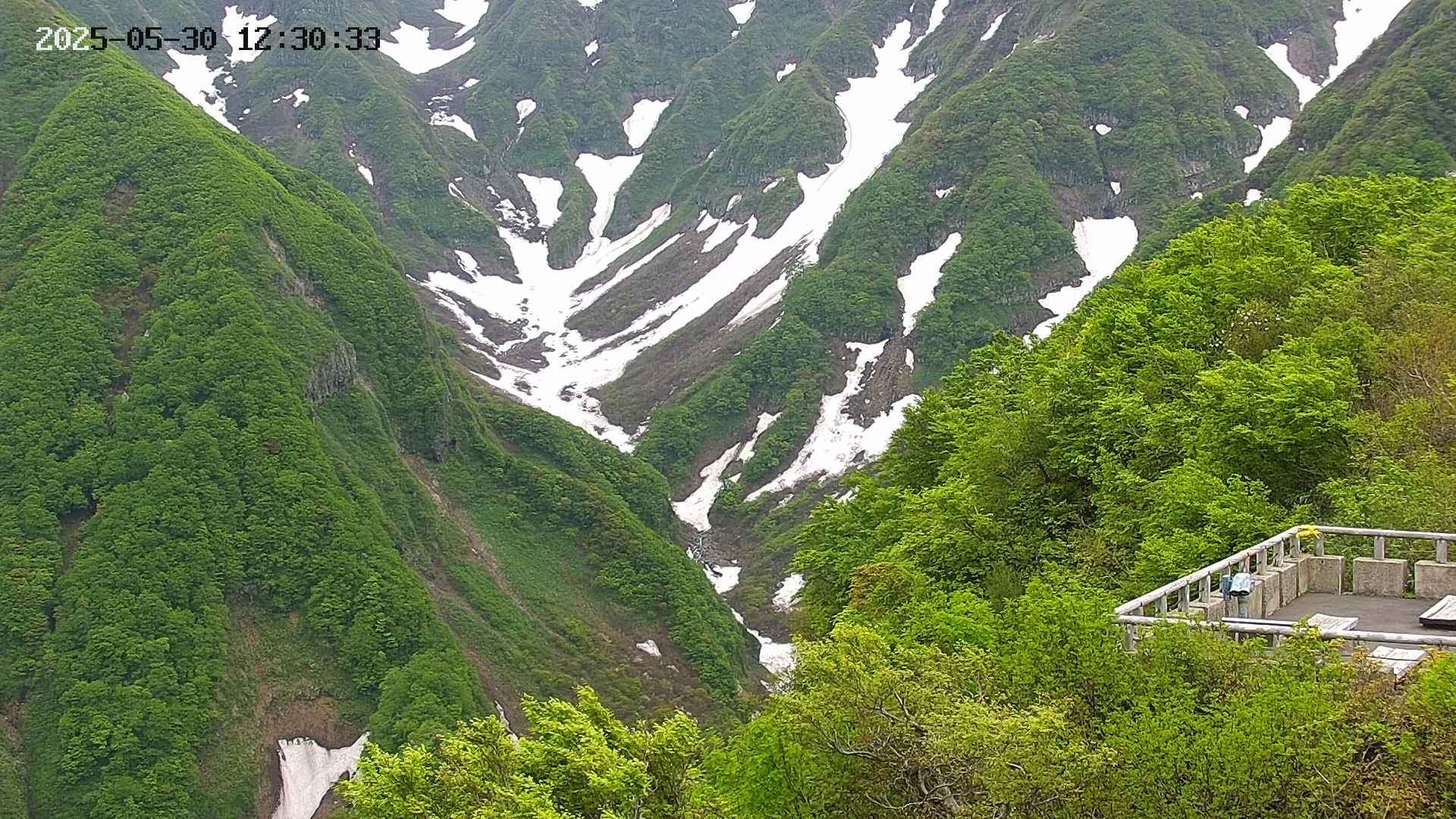 naso20250530123036.jpg