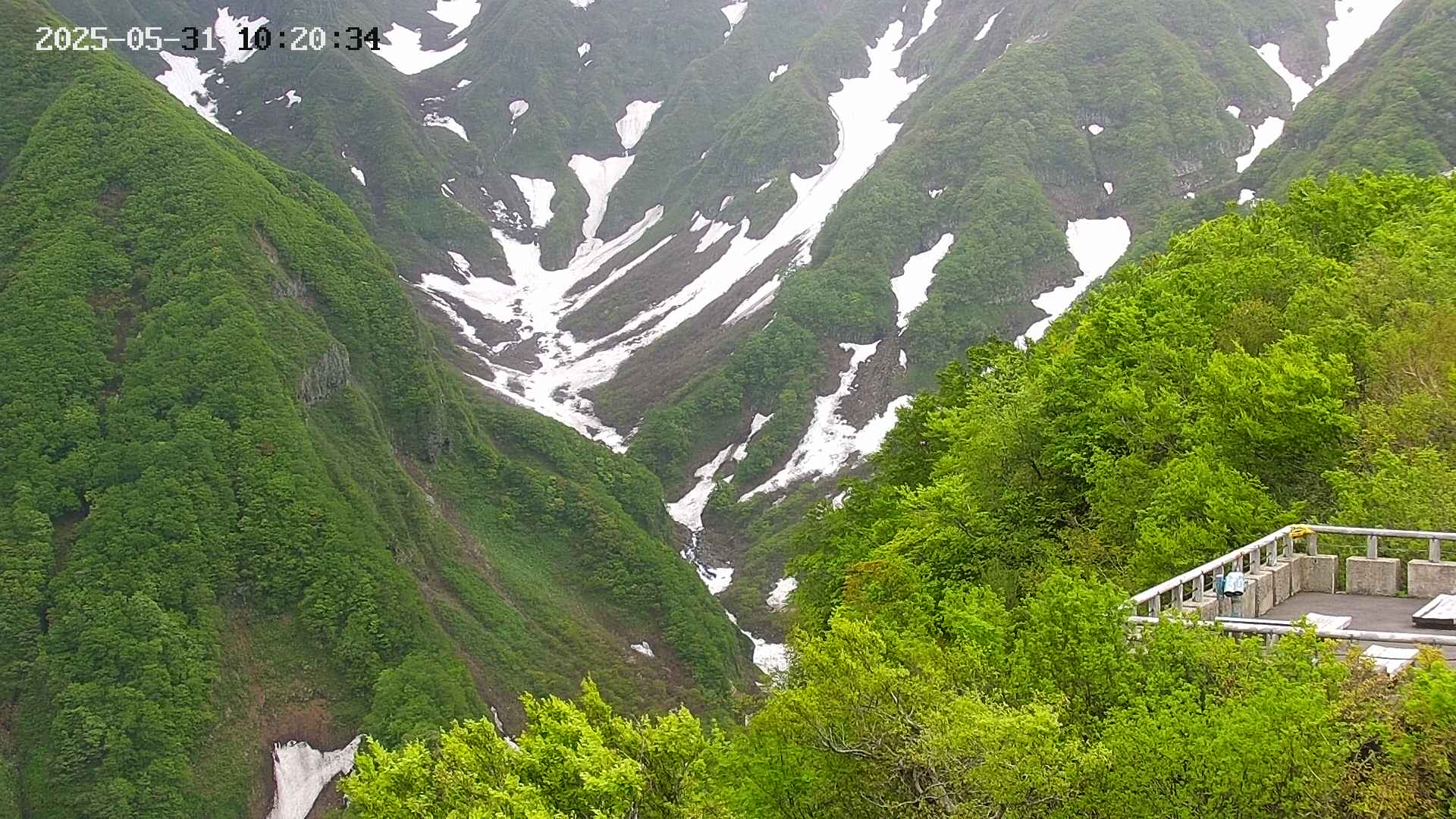 naso20250531102035.jpg