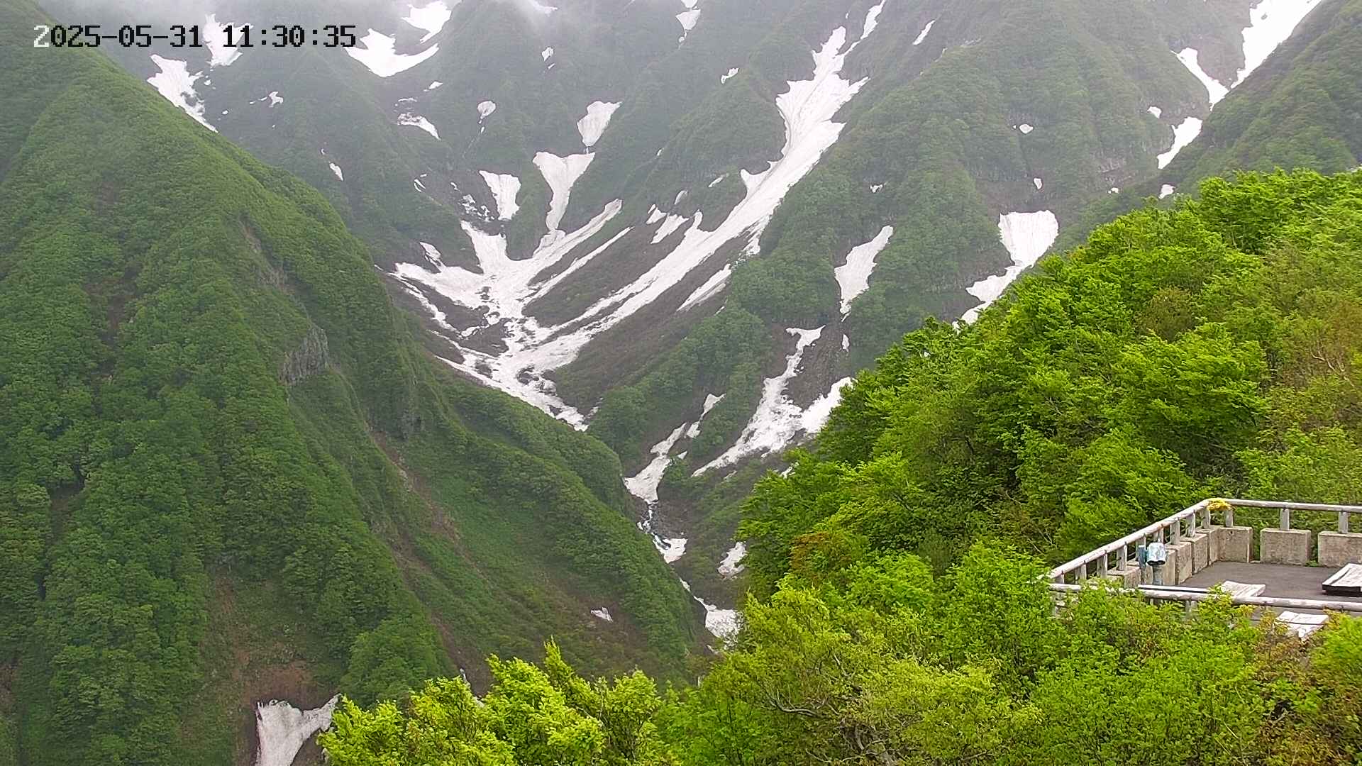 naso20250531113036.jpg