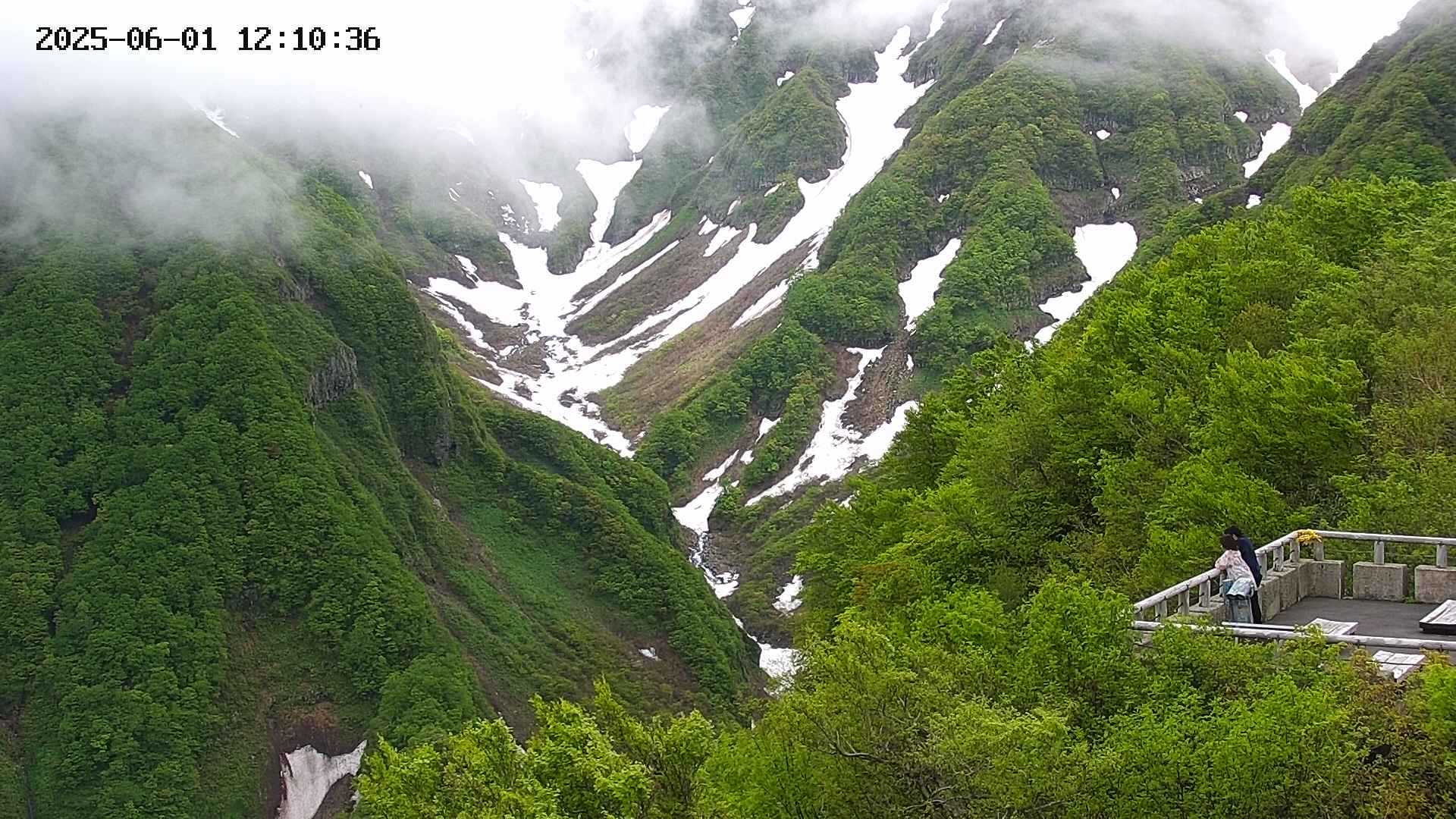 naso20250601121038.jpg