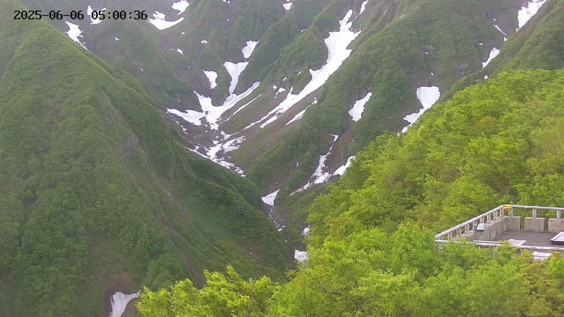 naso20250606050036.jpg