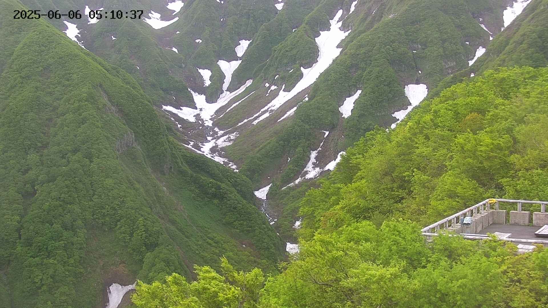 naso20250606051037.jpg