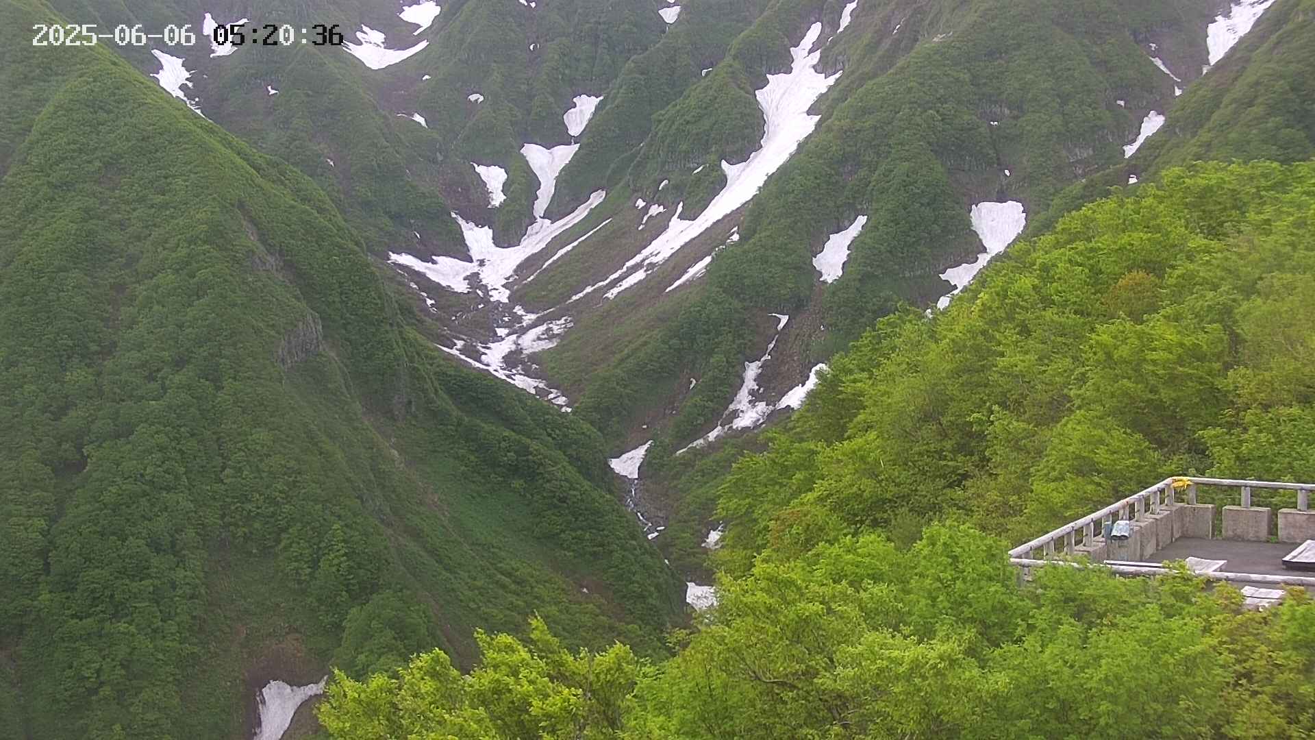 naso20250606052036.jpg