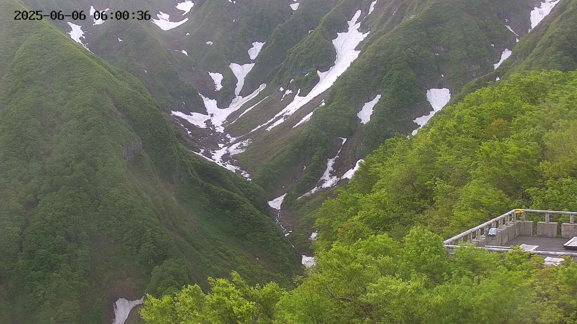 naso20250606060036.jpg