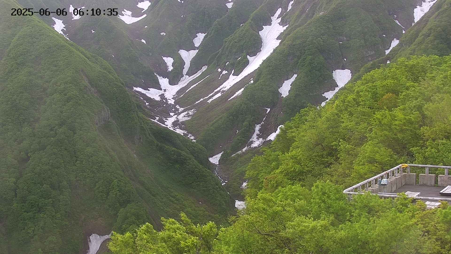 naso20250606061035.jpg