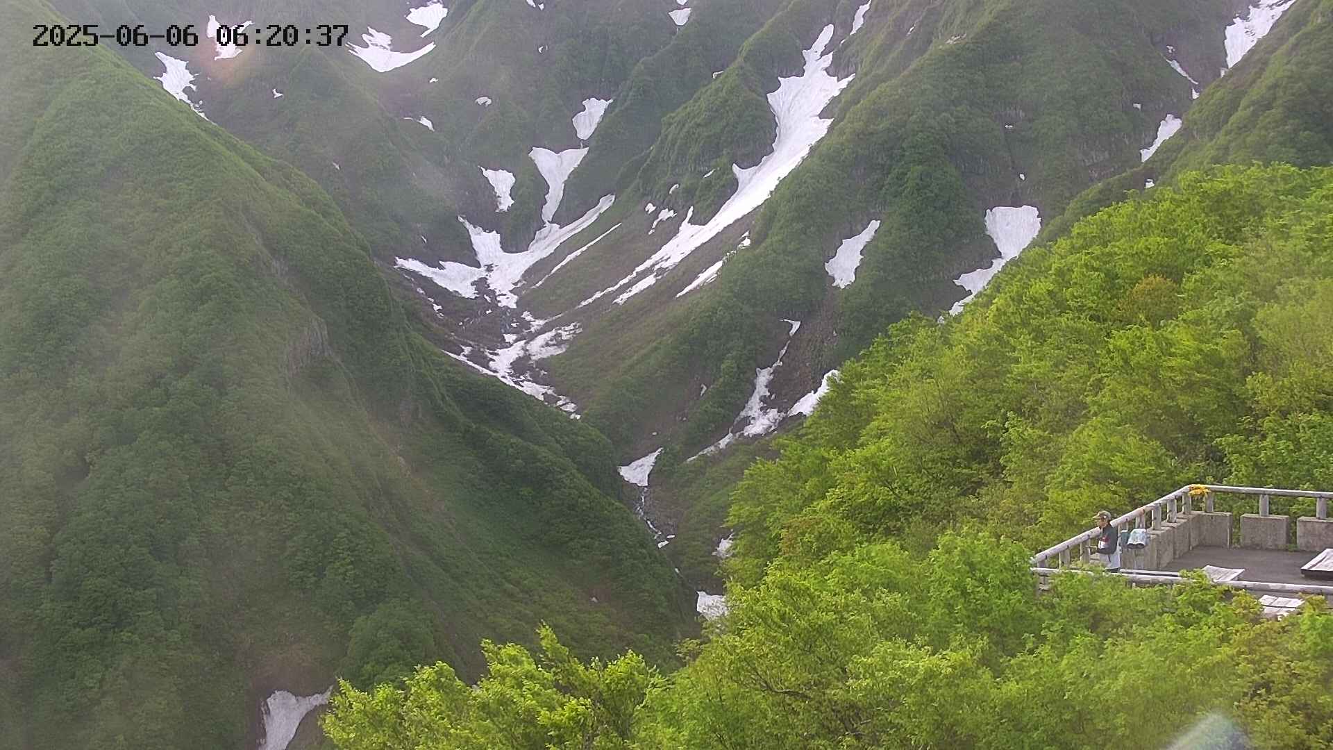 naso20250606062036.jpg