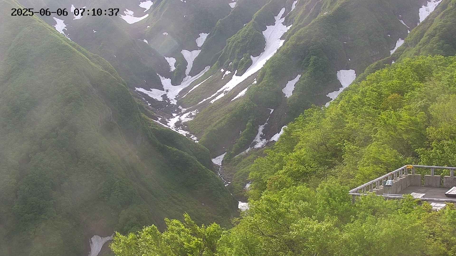 naso20250606071037.jpg