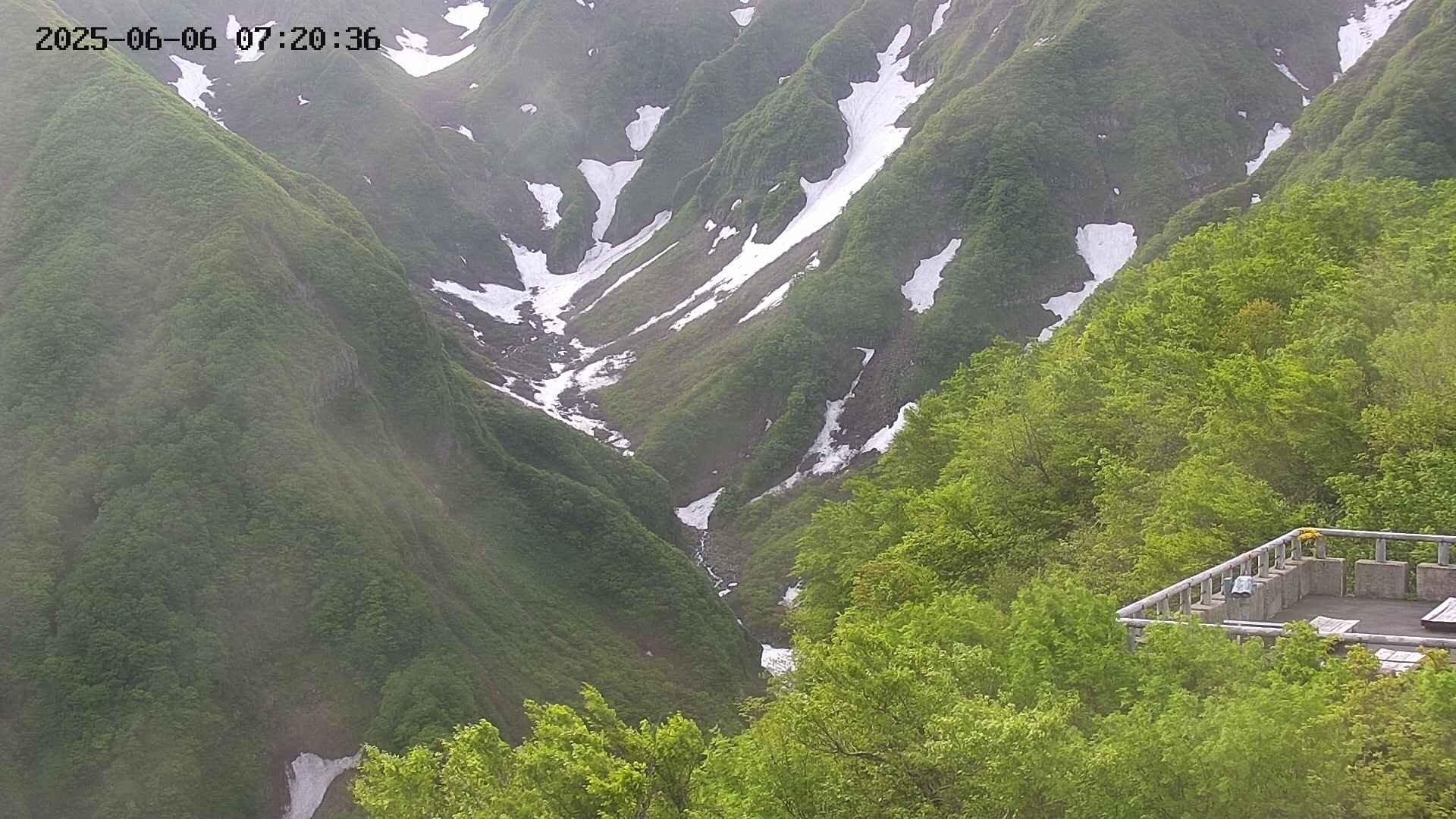 naso20250606072036.jpg