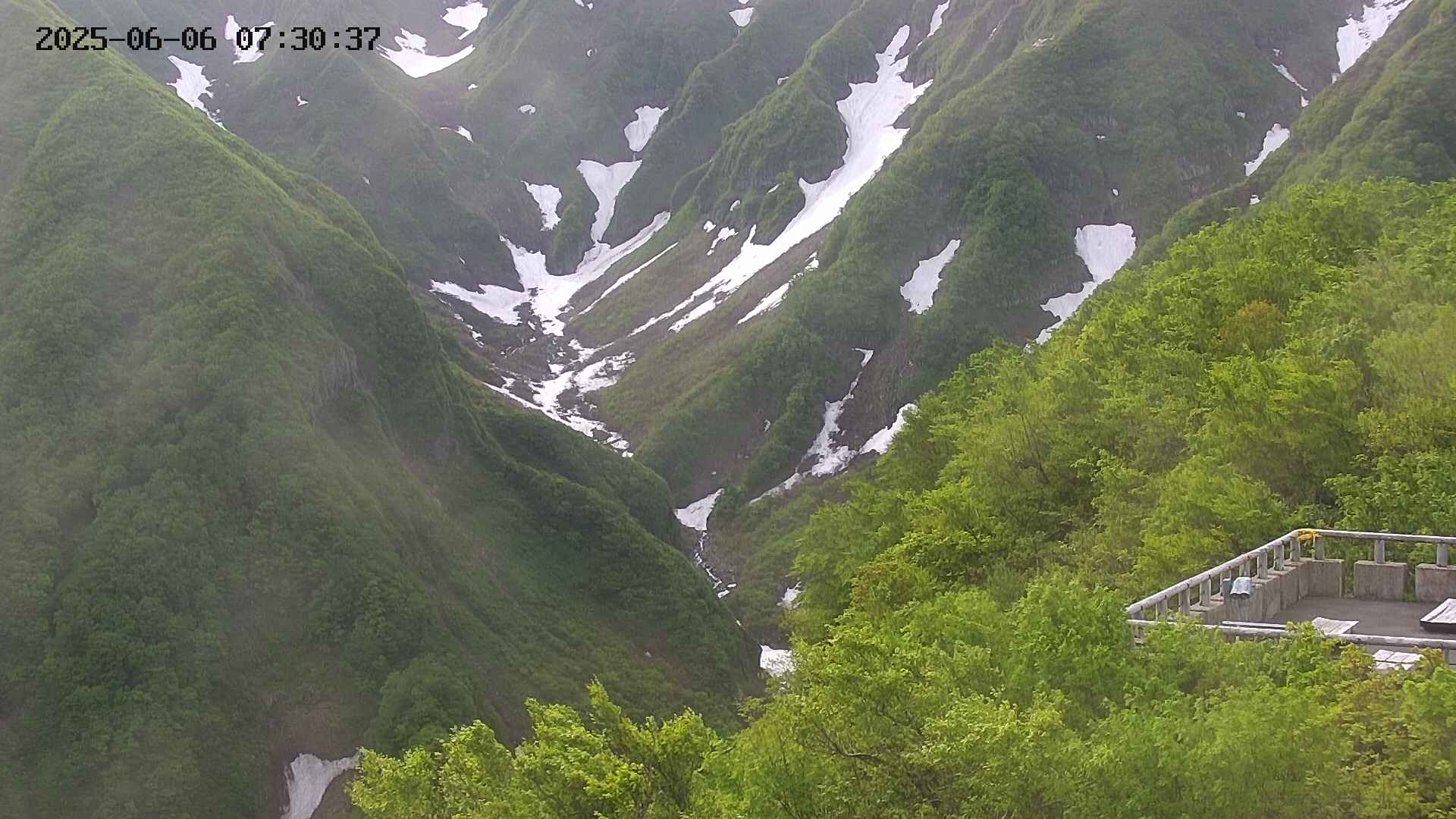 naso20250606073037.jpg