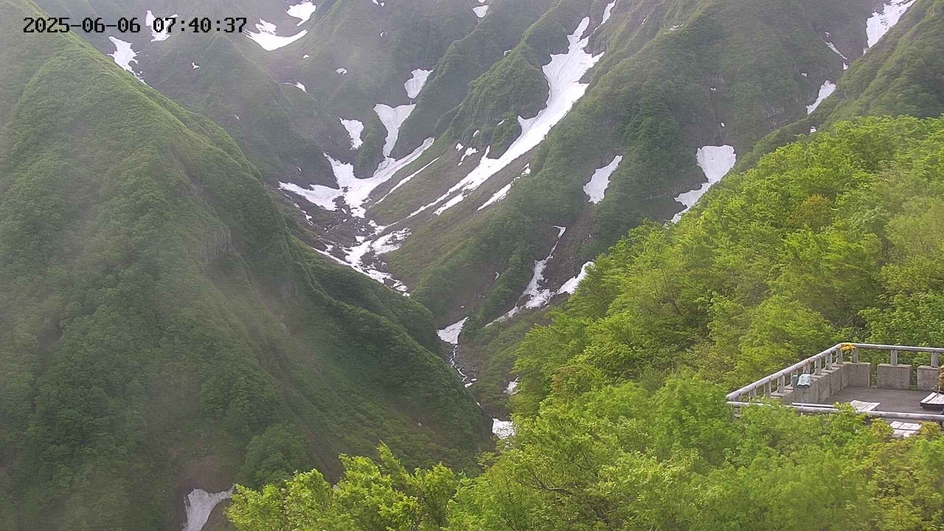 naso20250606074037.jpg