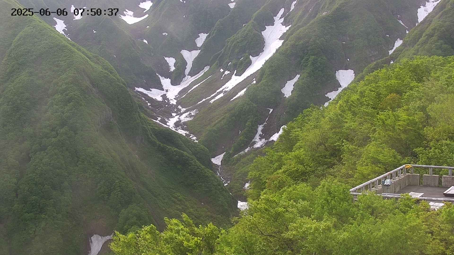 naso20250606075037.jpg