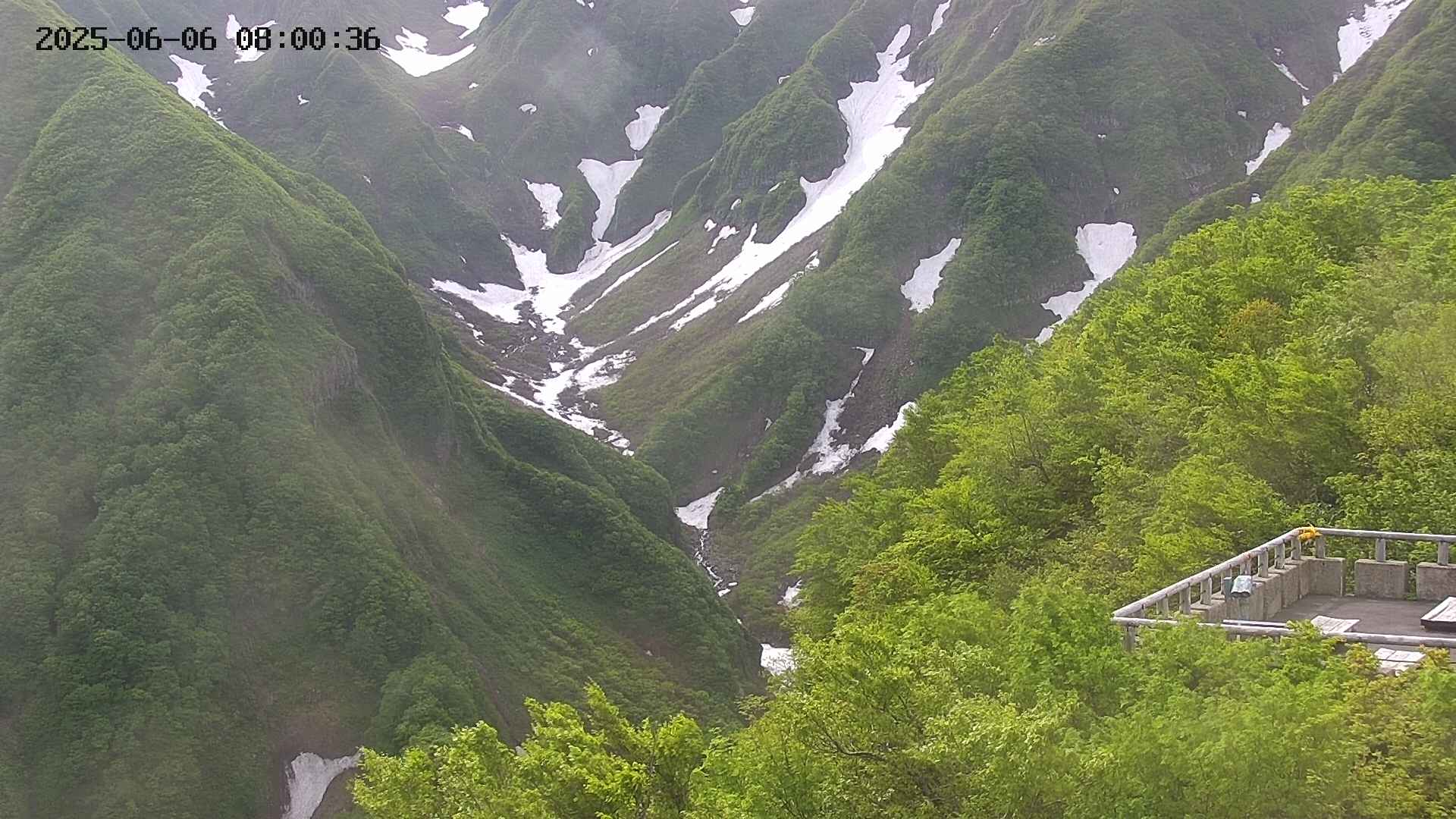 naso20250606080036.jpg