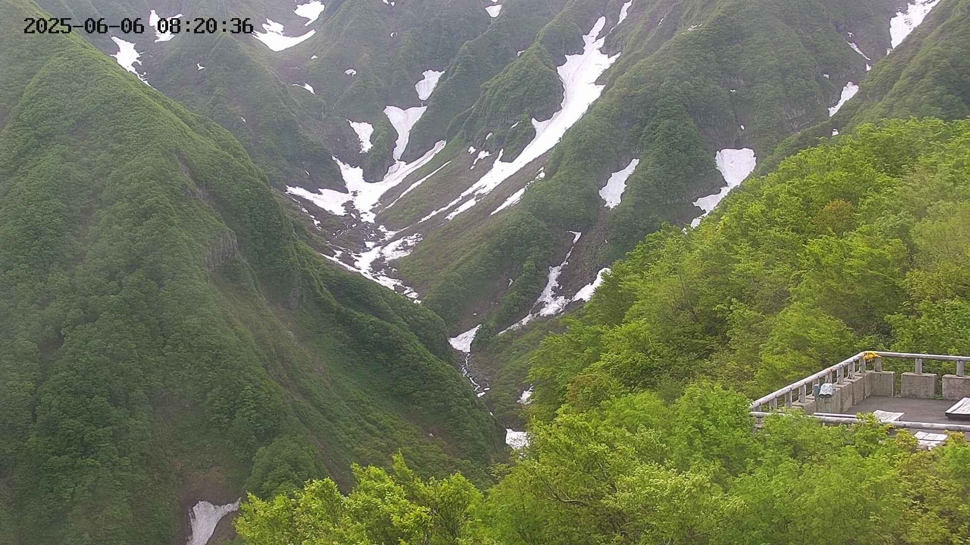 naso20250606082036.jpg