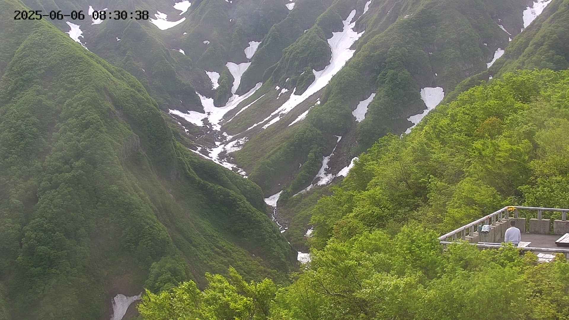 naso20250606083038.jpg