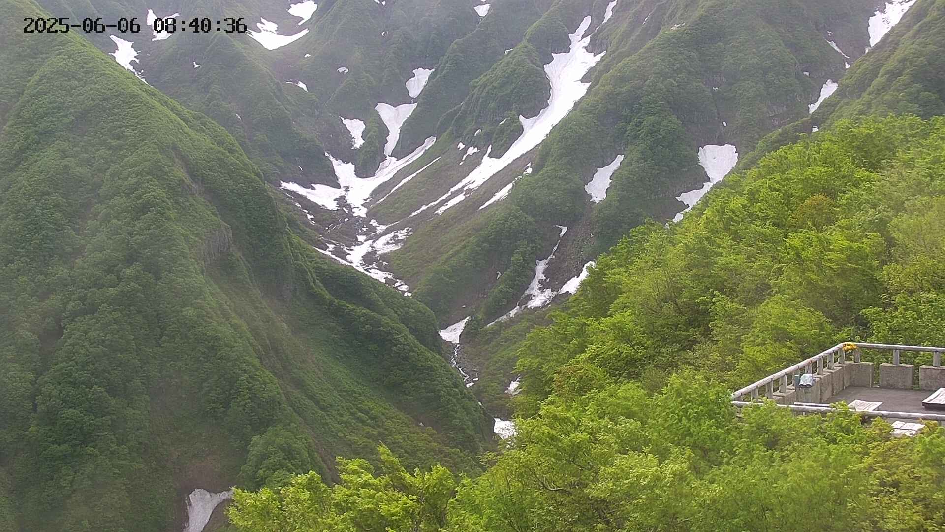 naso20250606084036.jpg