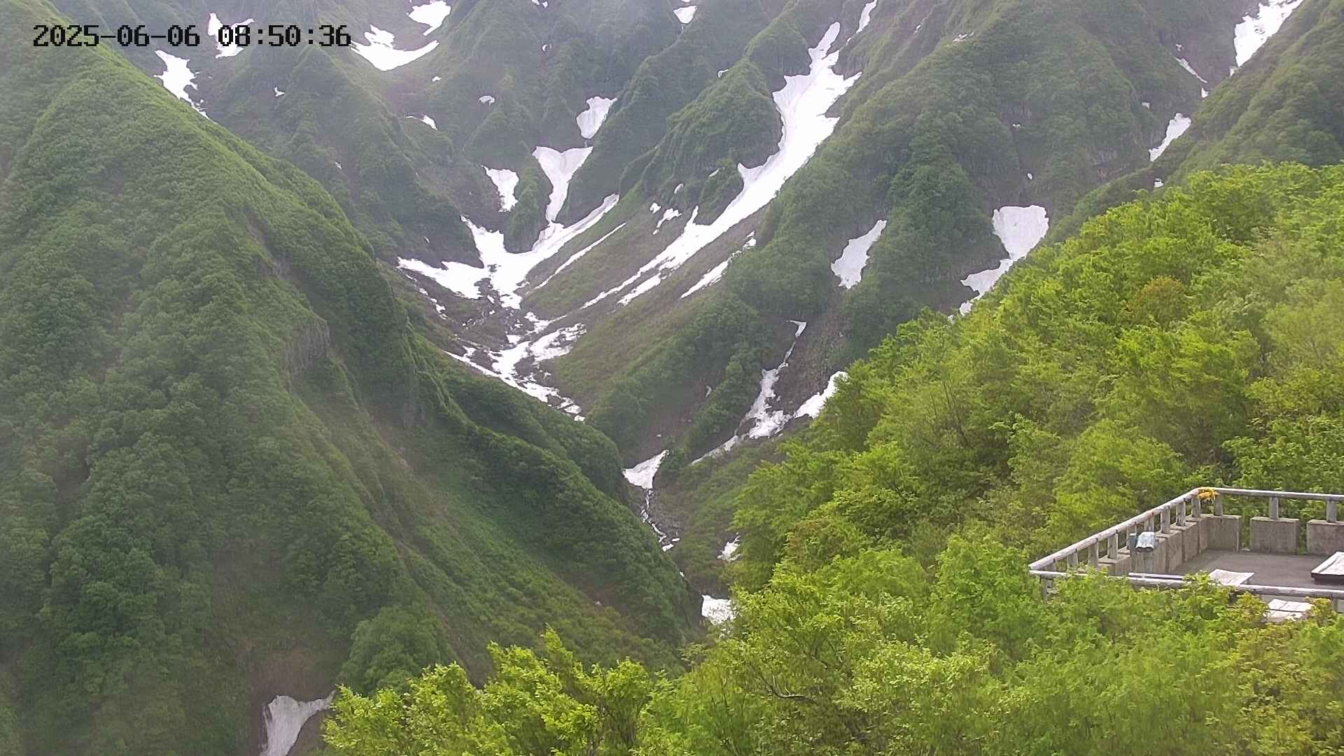 naso20250606085037.jpg