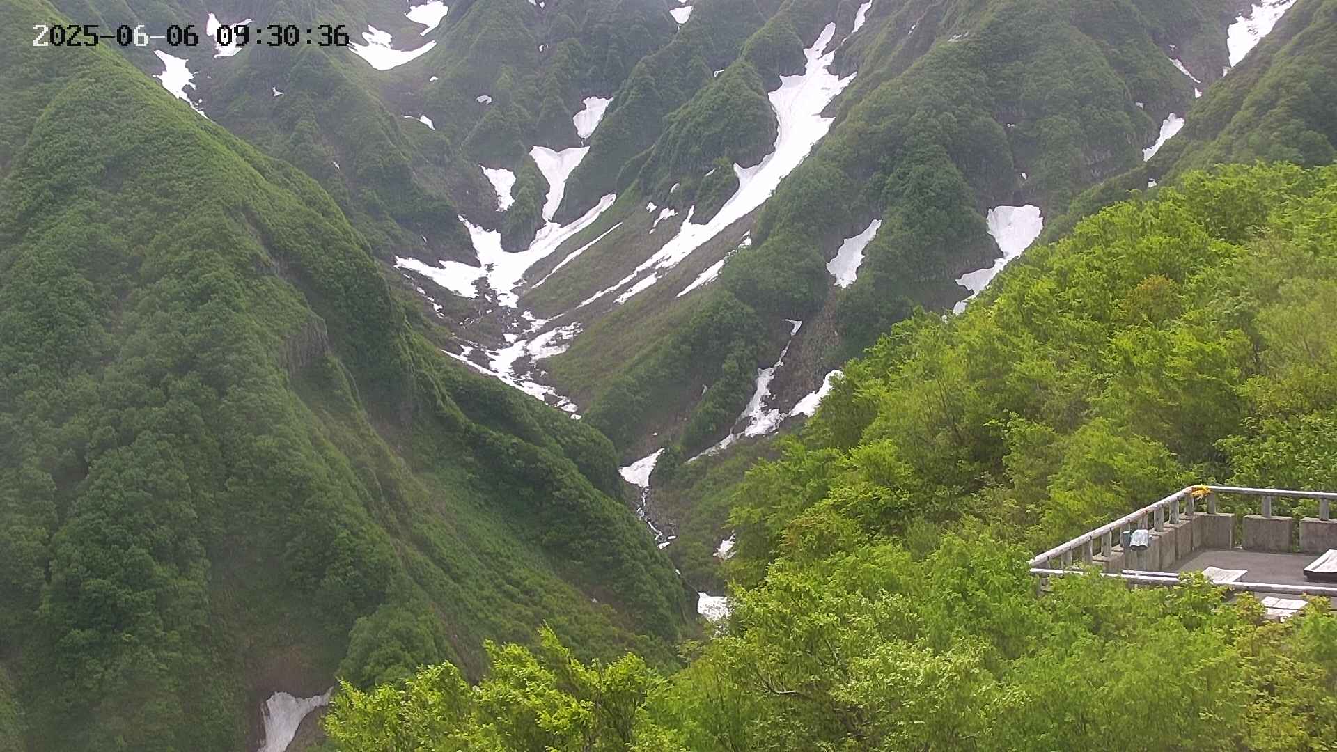 naso20250606093037.jpg