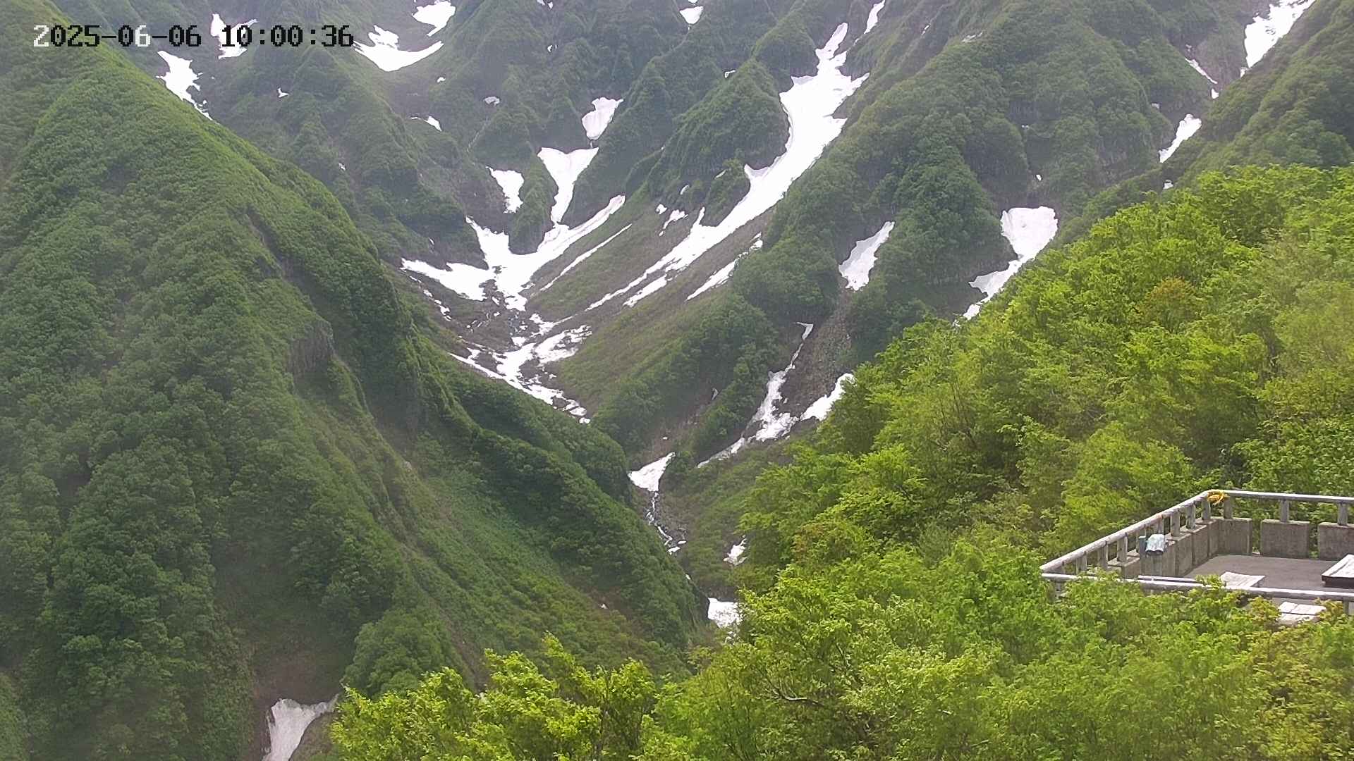 naso20250606100037.jpg
