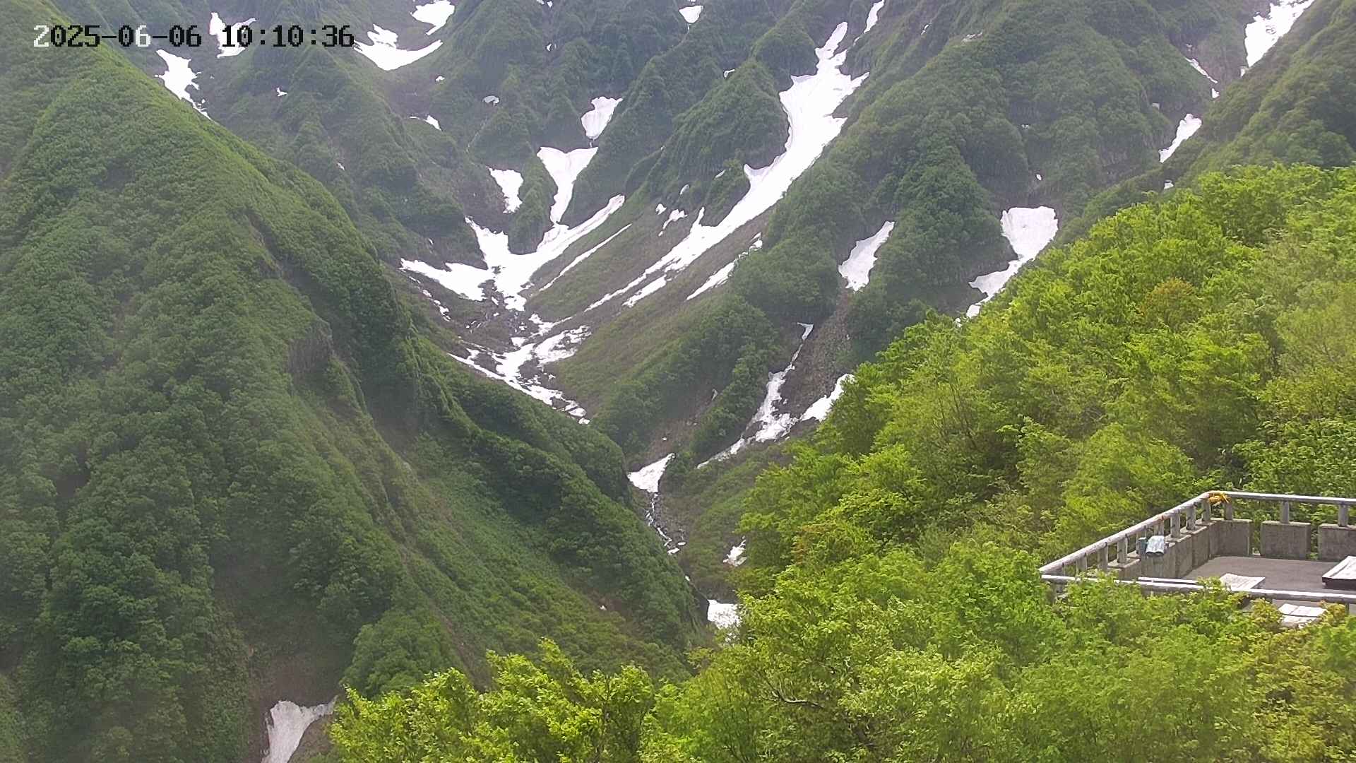 naso20250606101037.jpg