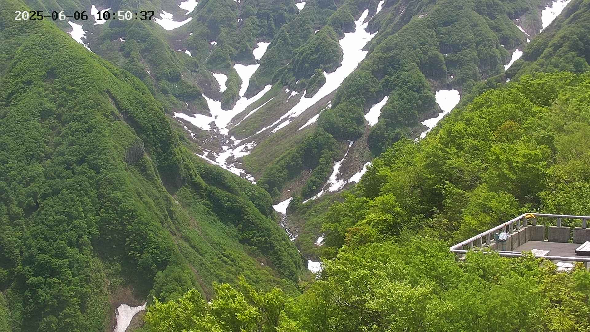 naso20250606105038.jpg