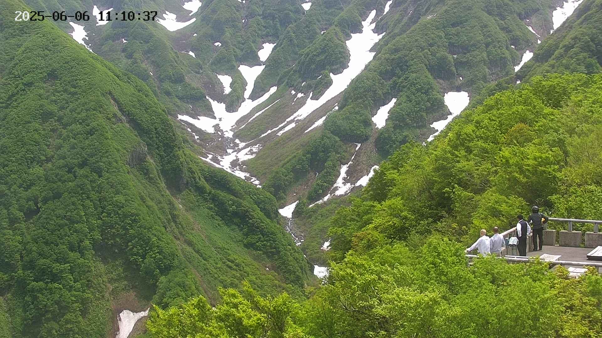 naso20250606111038.jpg