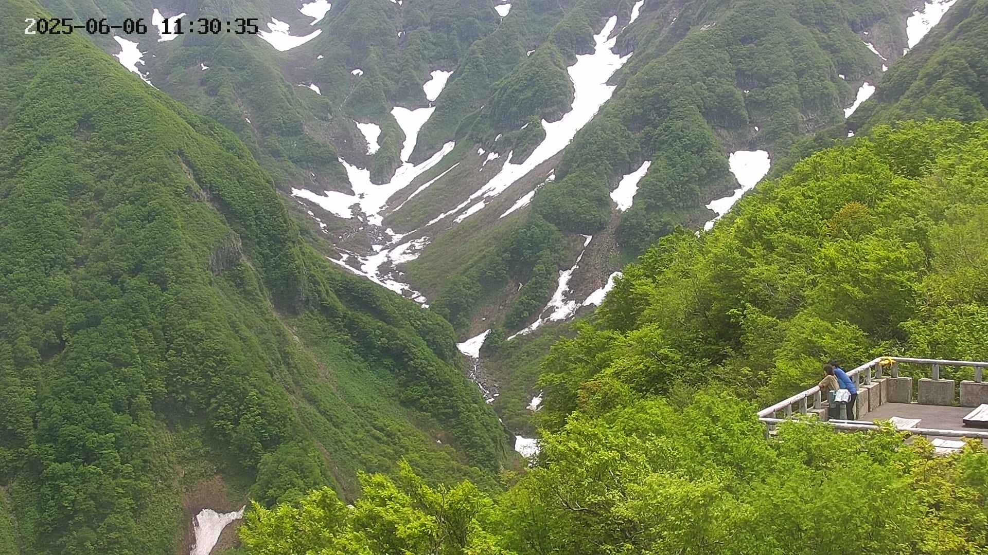 naso20250606113036.jpg