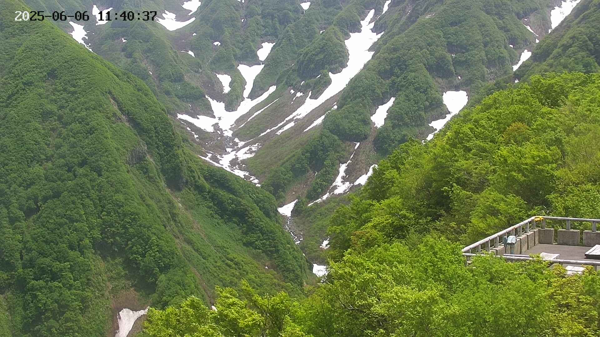 naso20250606114038.jpg