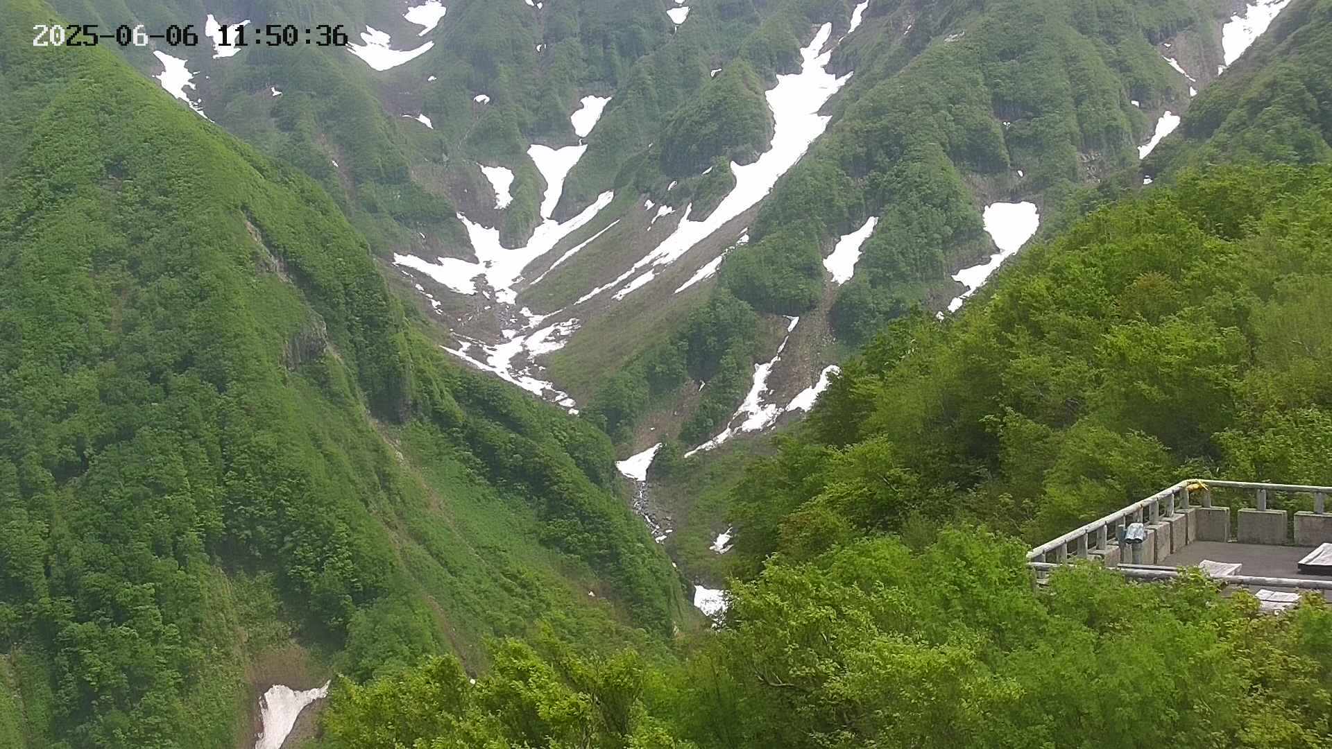naso20250606115037.jpg