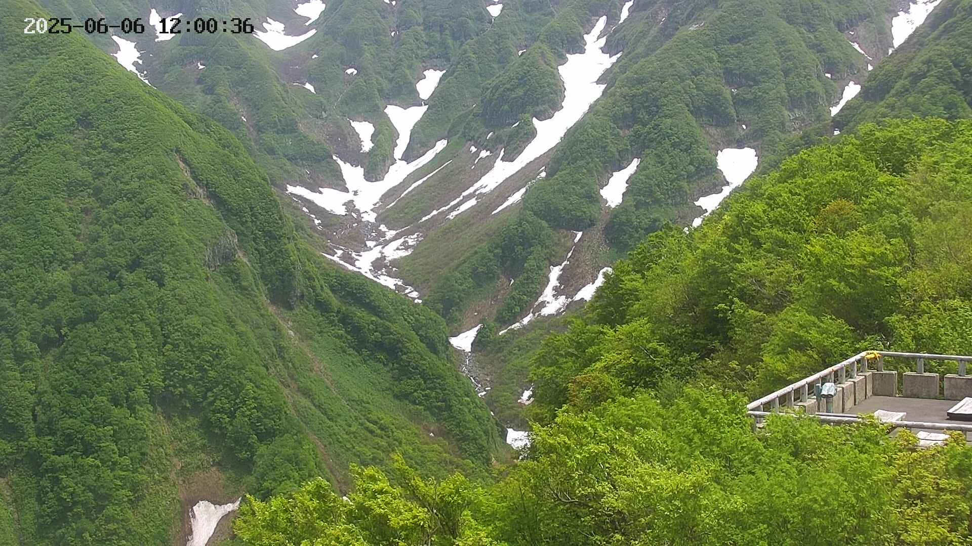 naso20250606120037.jpg
